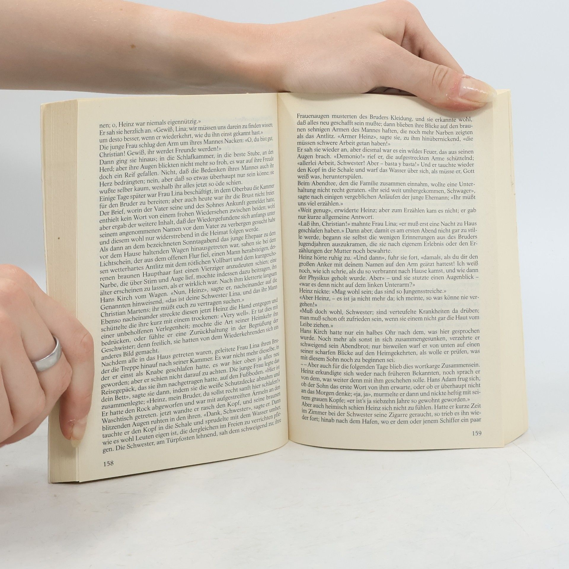 Theodor Storm Sämtliche Werke. Novellen 3, Band 5