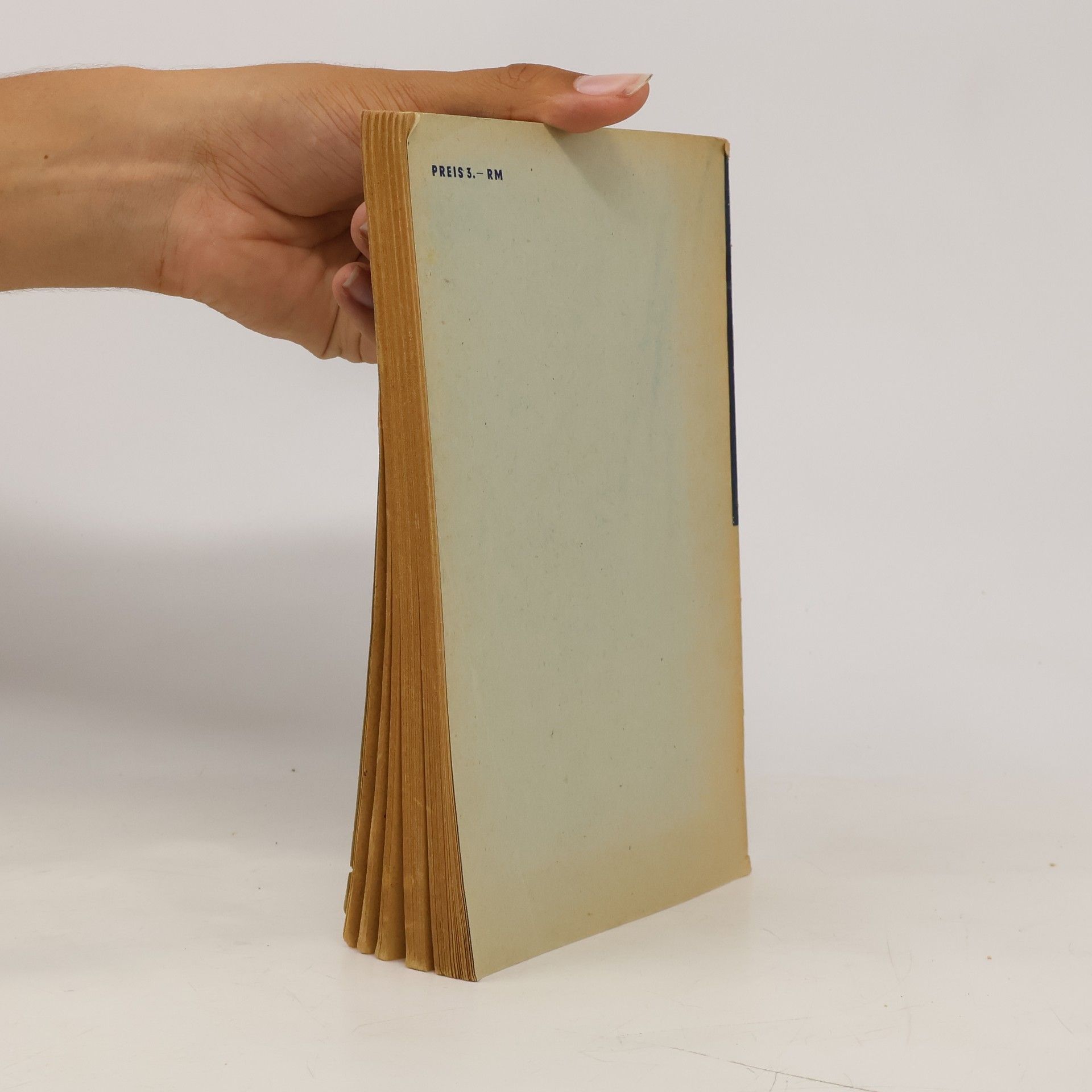W. Steinitz Russisches Lehrbuch