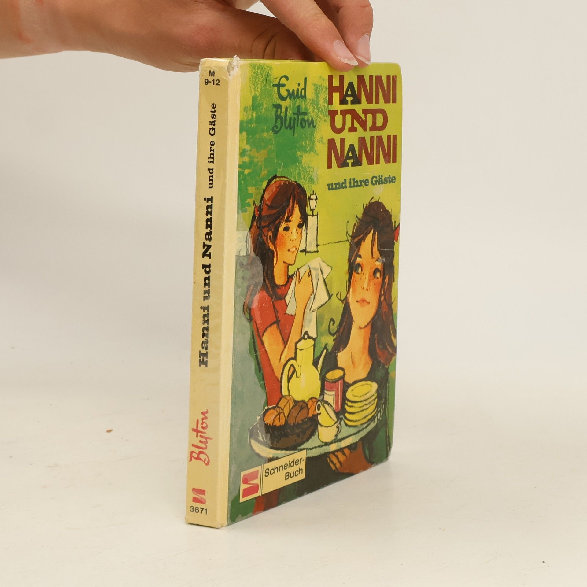 Enid Blyton Hanni und Nanni und ihre Gäste