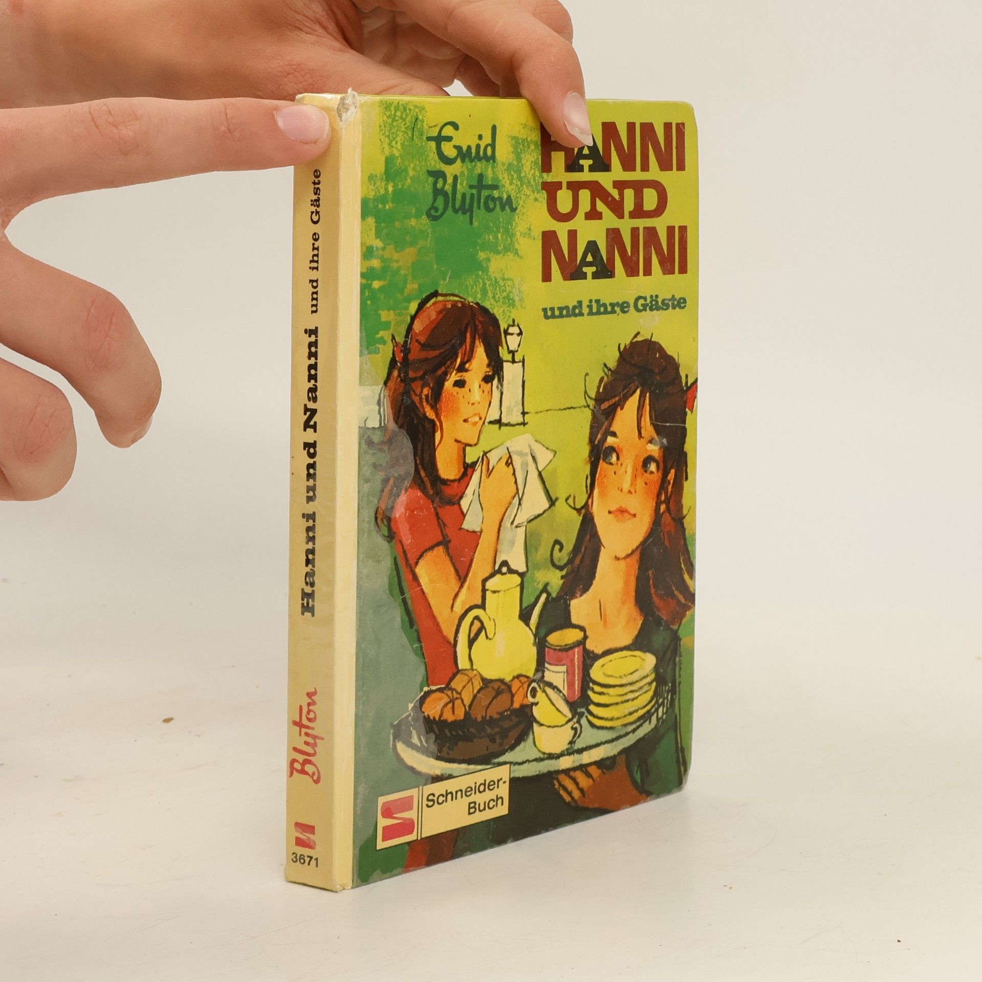 Enid Blyton Hanni und Nanni und ihre Gäste