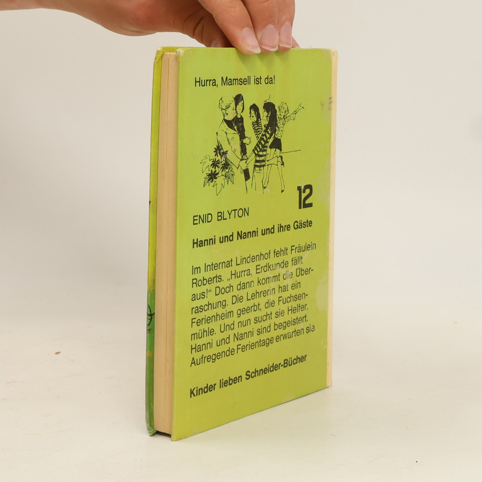 Enid Blyton Hanni und Nanni und ihre Gäste