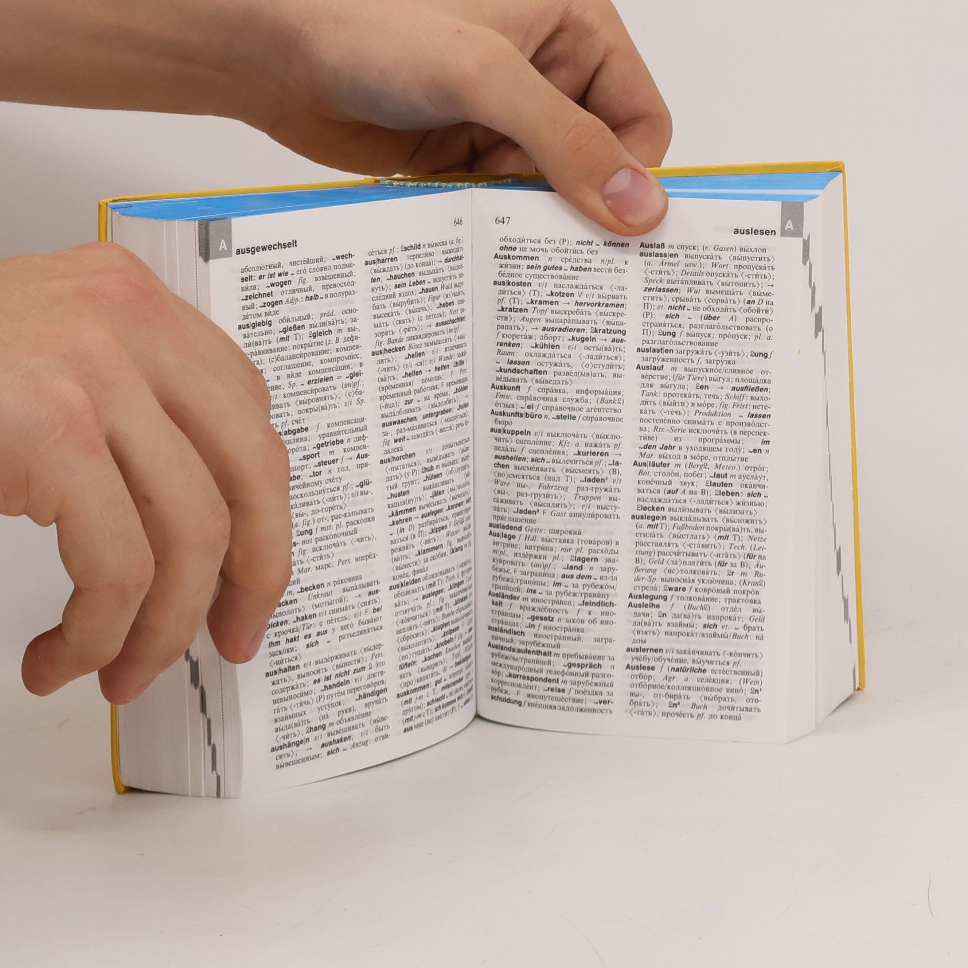 Stanisřaw Walewski Langenscheidts Taschenwörterbuch Russisch