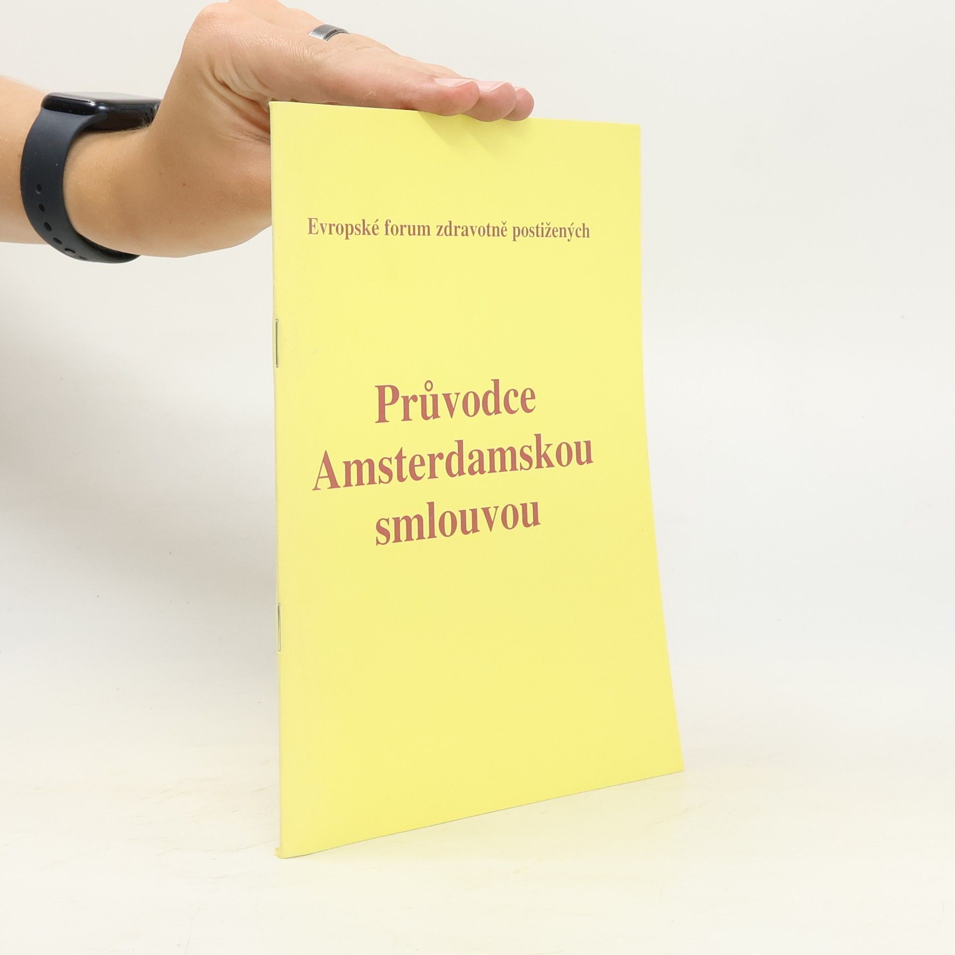 Auteurscollectief Průvodce Amsterdamskou smlouvou