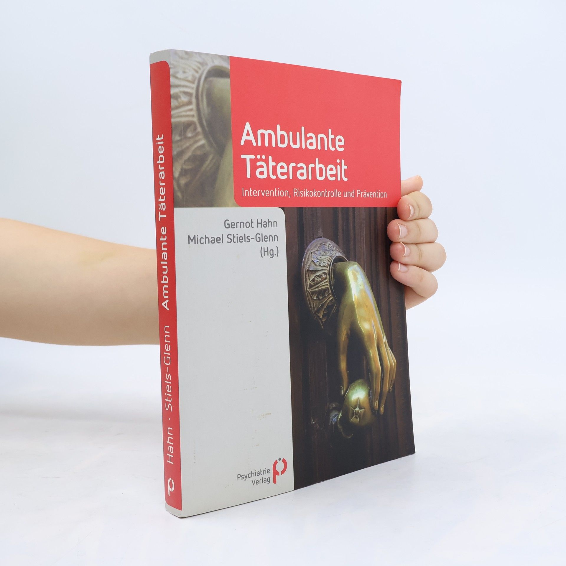 Michael Stiels-Glenn Handbuch Ambulante Täterarbeit