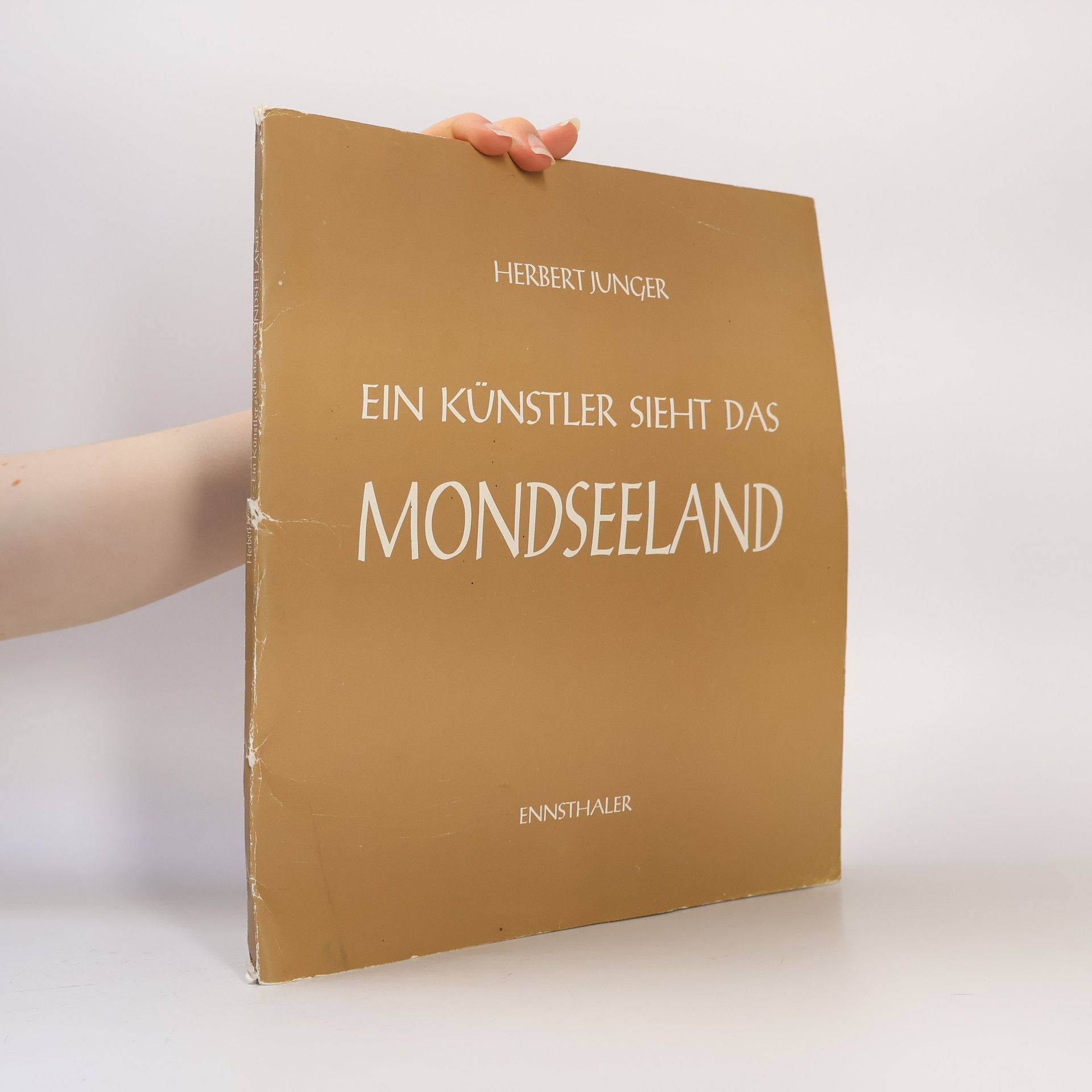 Herbert Junger Ein Künstler sieht das Mondseeland