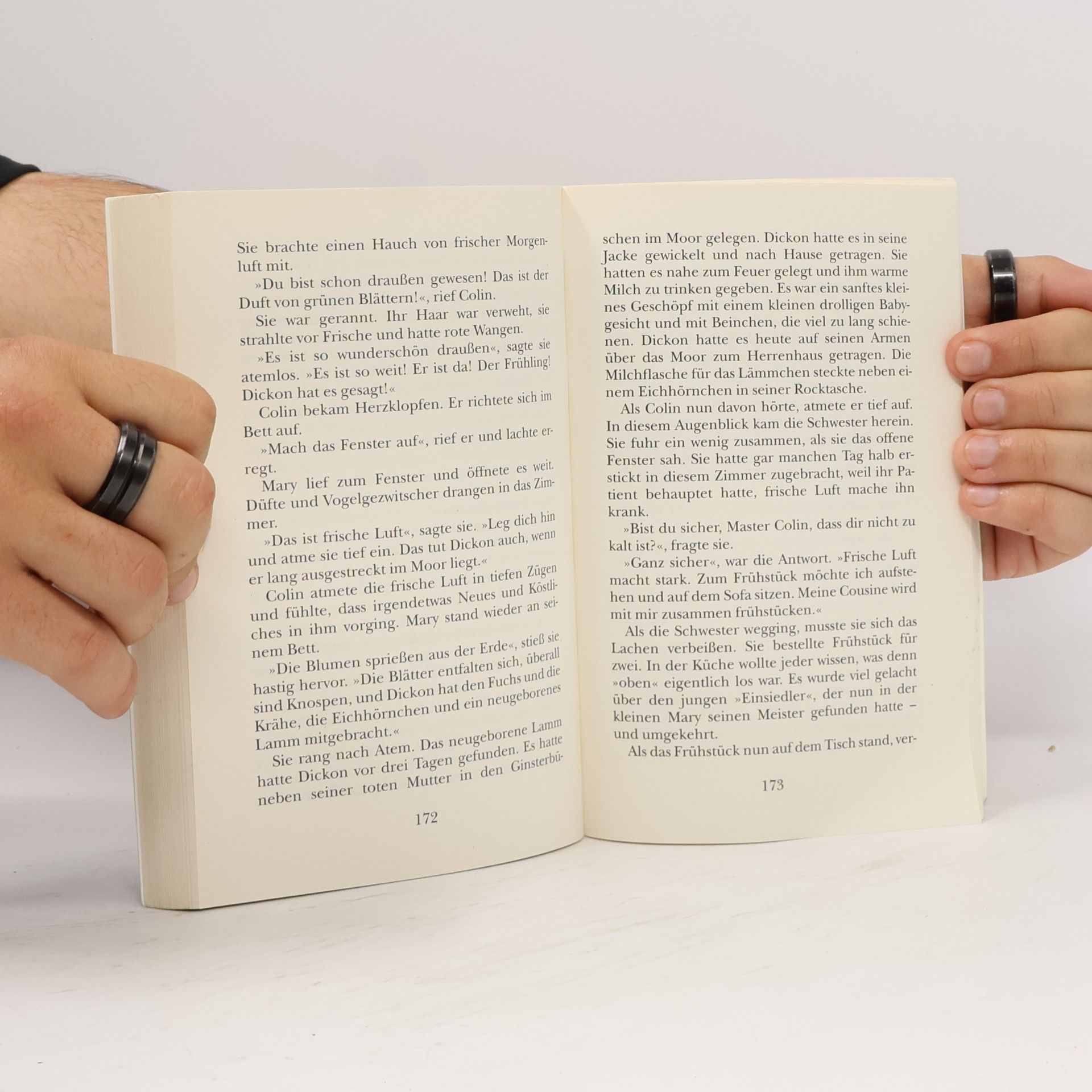 Frances Hodgson Burnett Der geheime Garten