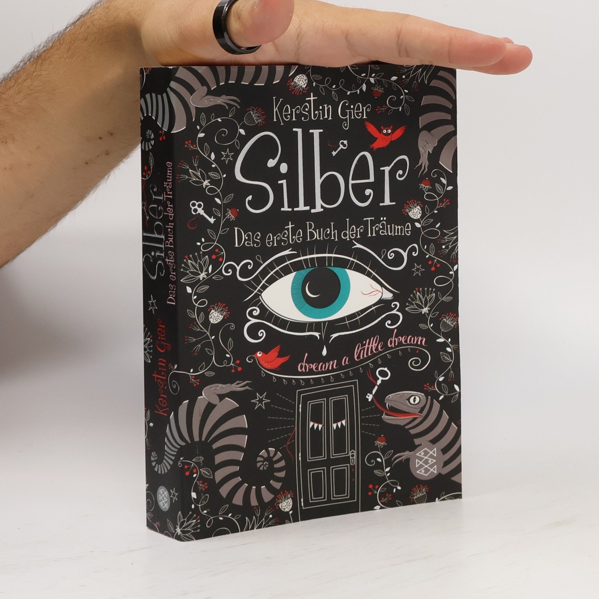 Kerstin Gier Silber. Das erste Buch der Träume