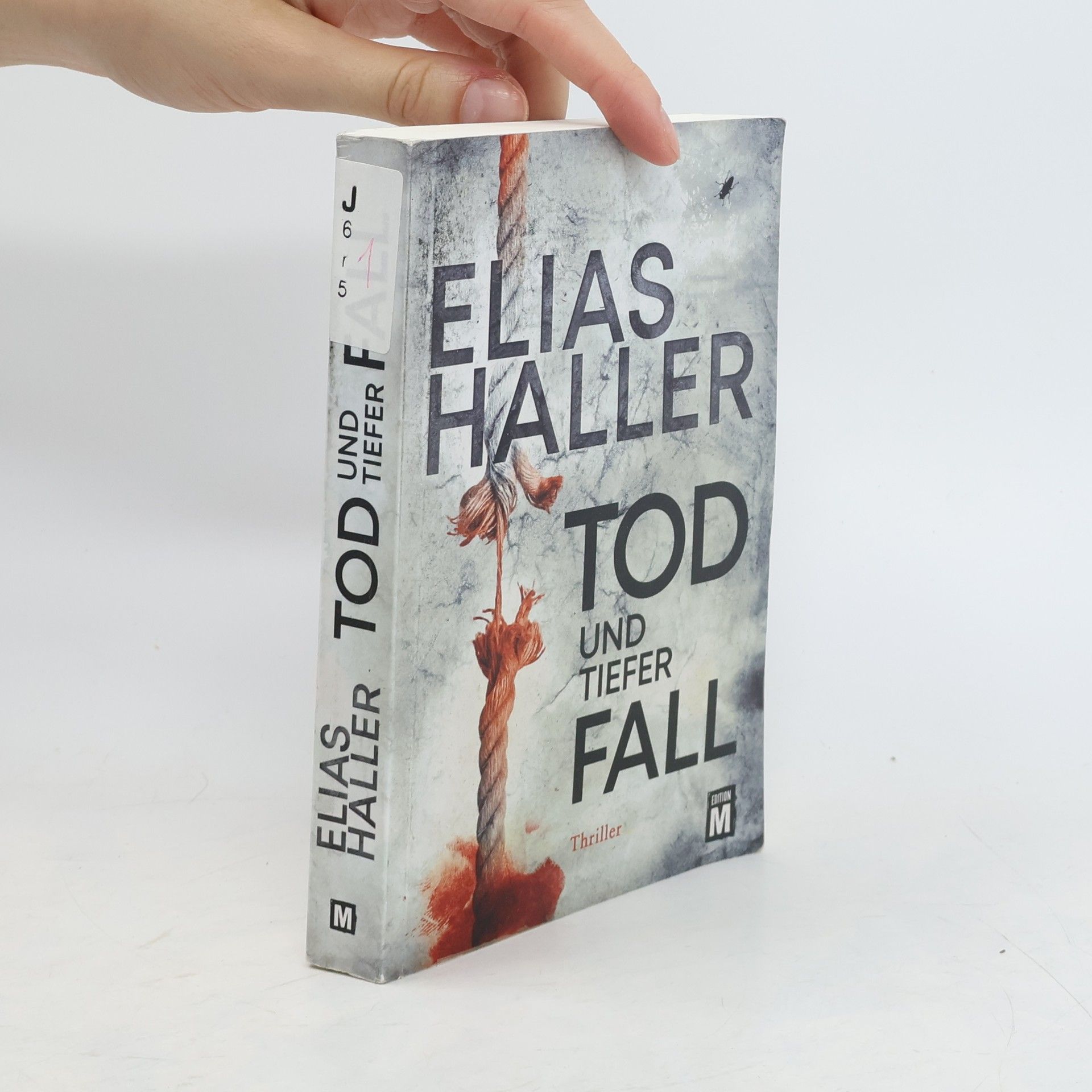 Elias Haller Tod und tiefer Fall