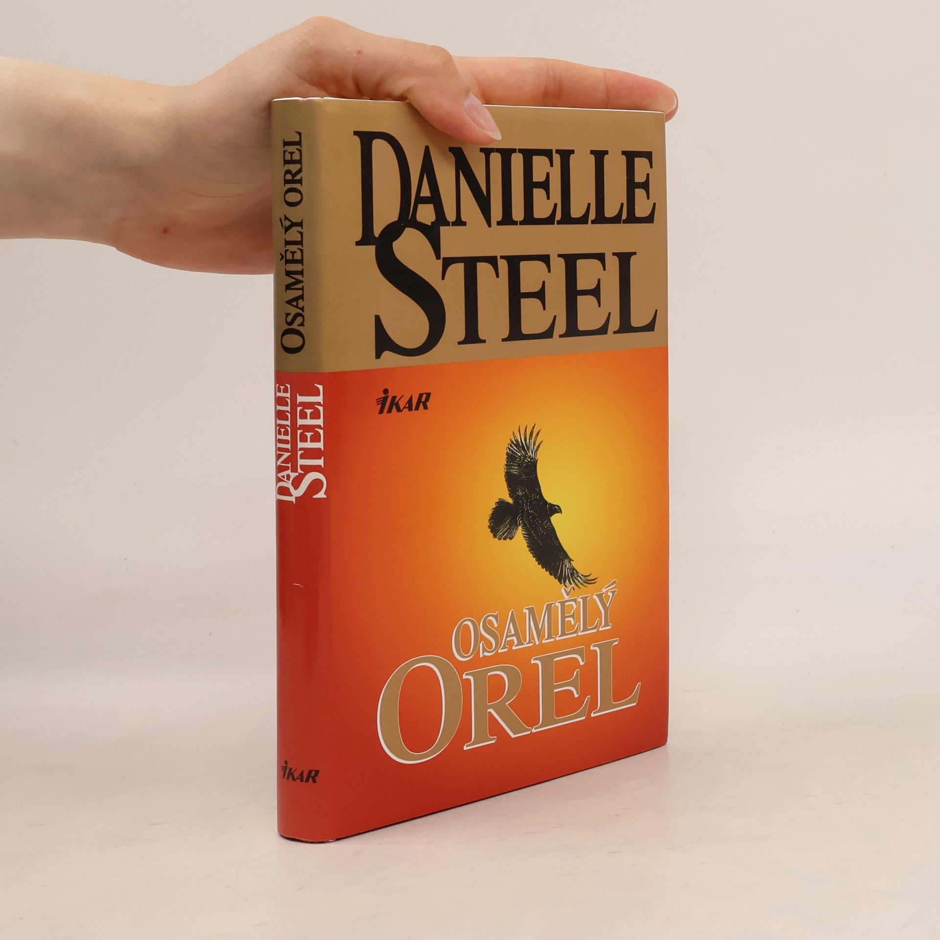 Danielle Steel Osamělý orel