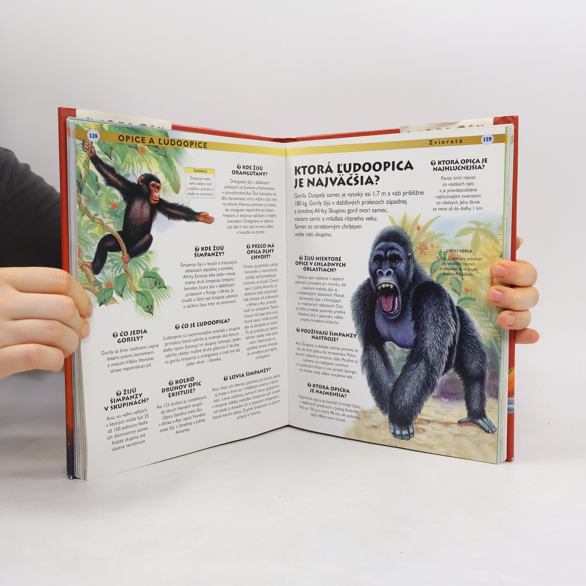 Autorenkollektiv Najväčšia kniha otázok a odpovedí