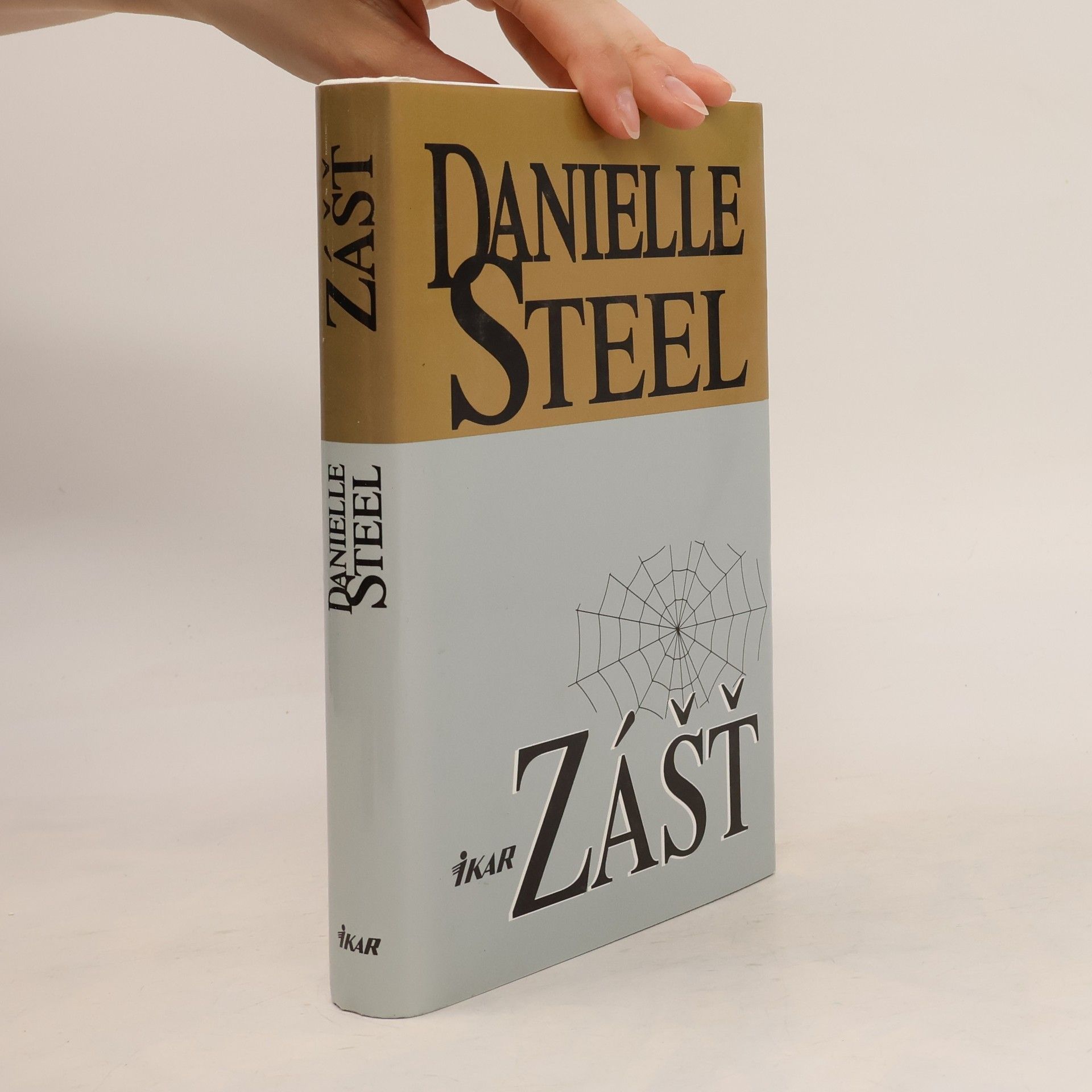 Danielle Steel Zášť