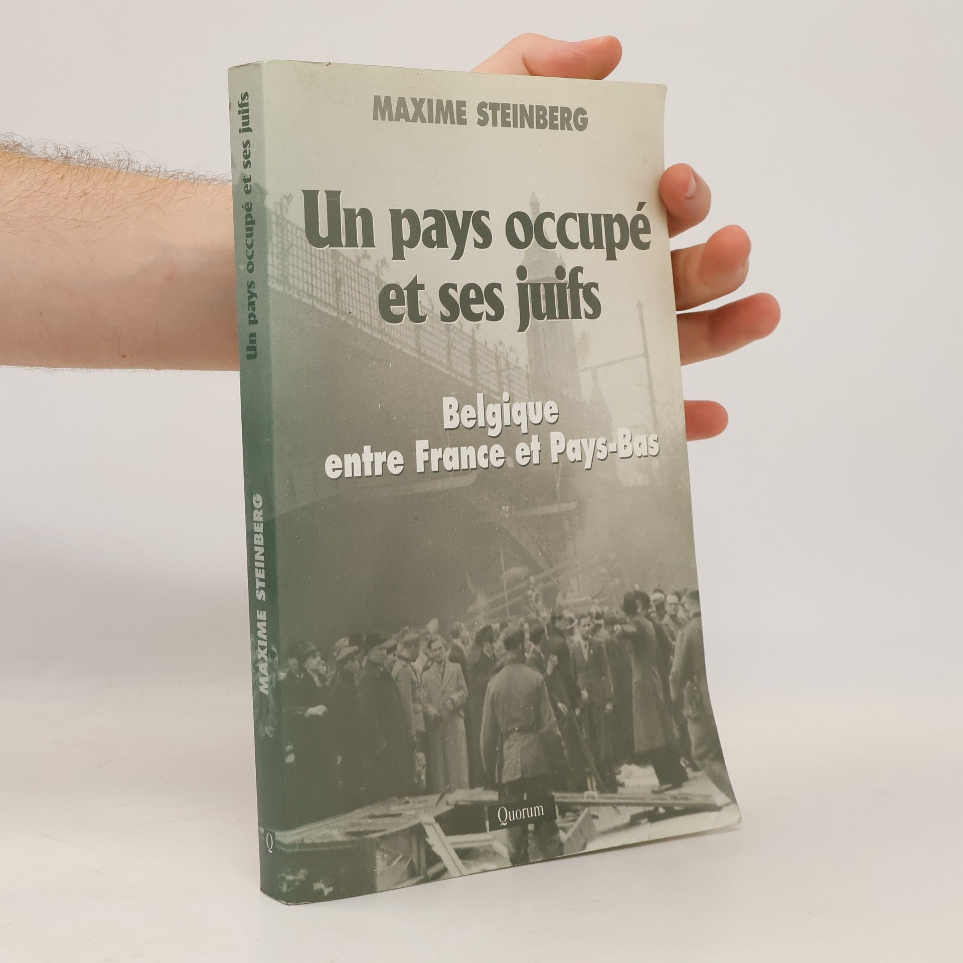 Maxime Steinberg Un pays occupé et ses juifs
