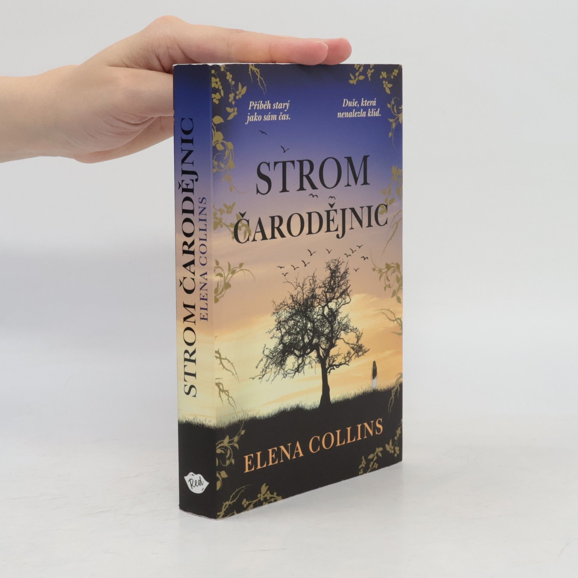 Judy Leigh Strom čarodějnic