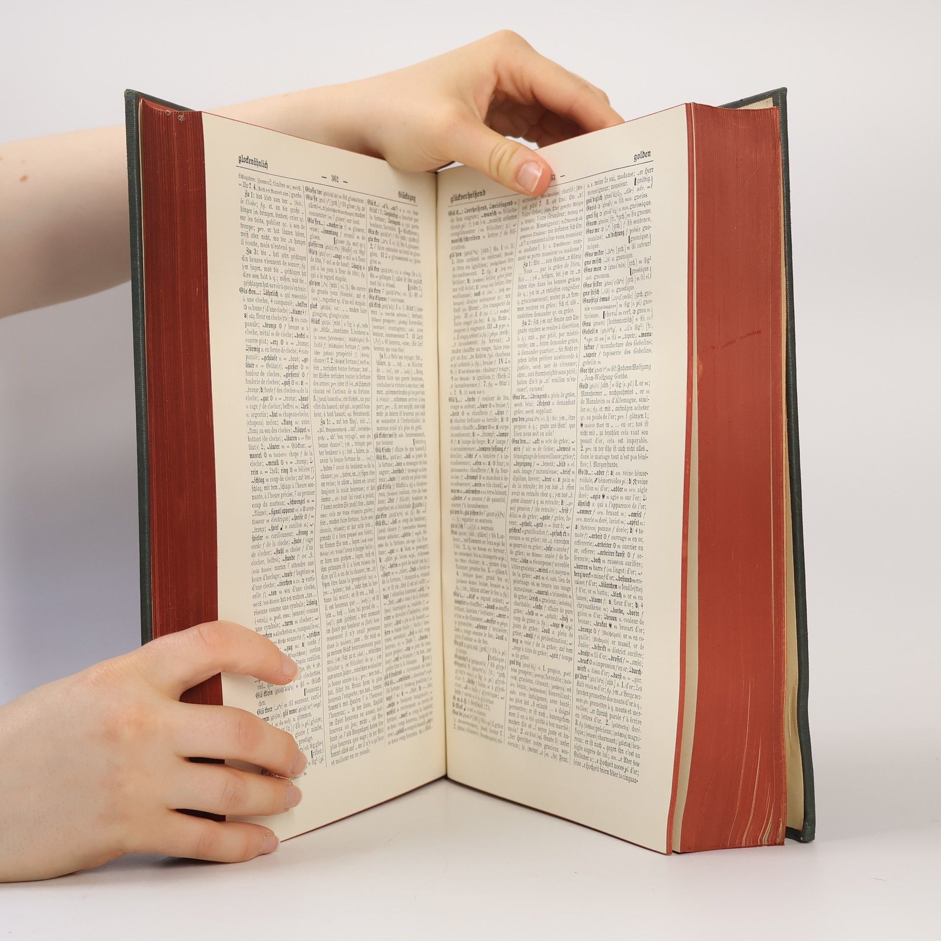 Kolektiv autorů Sachs-Villatte Enzyklopädisches Wörterbuch Handausgabe Deutsch-Französisch 2