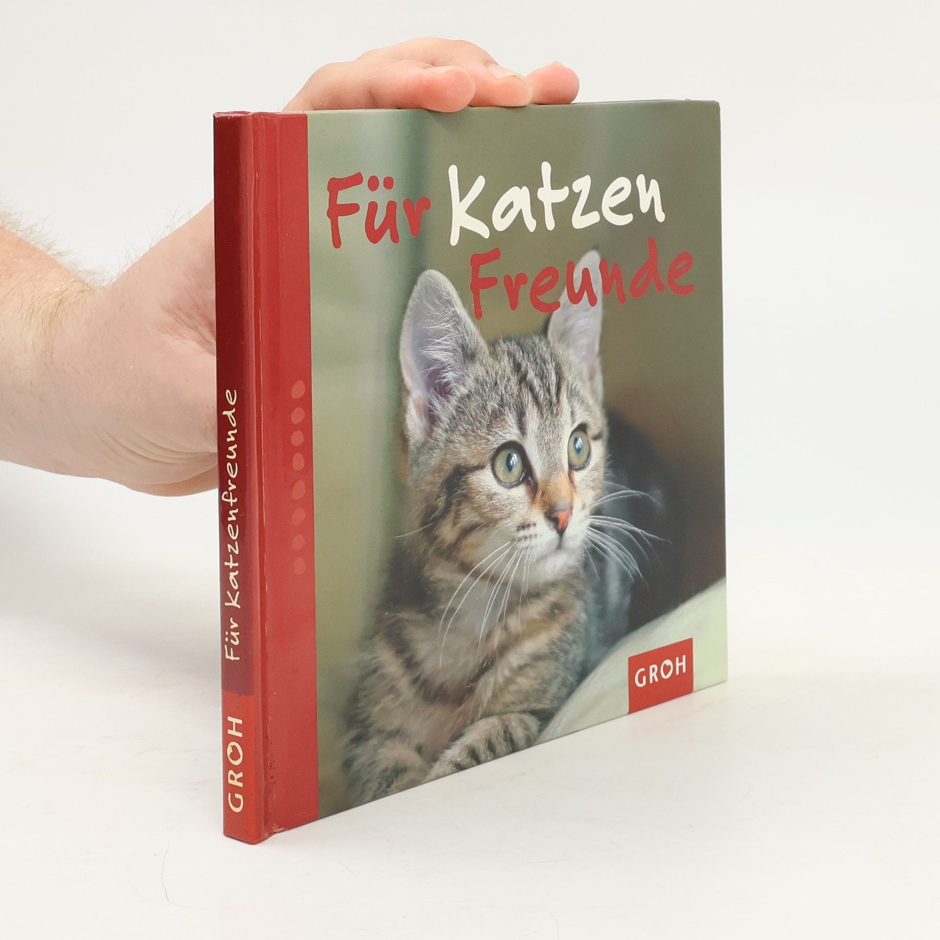 Nina Sandmann Für Katzenfreunde