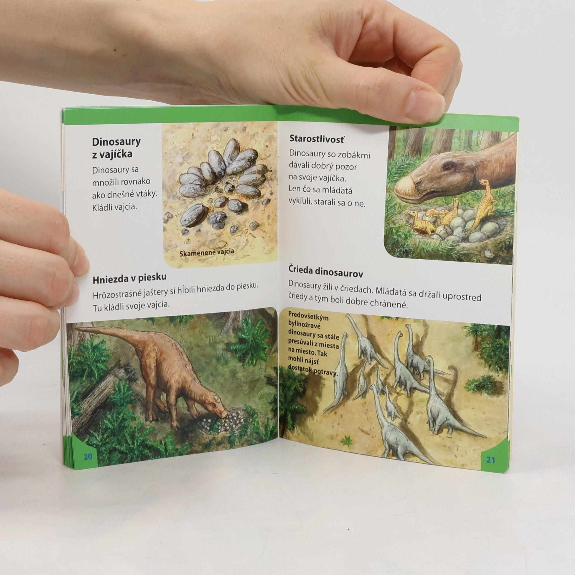 Nicola Herbst Dinosaury