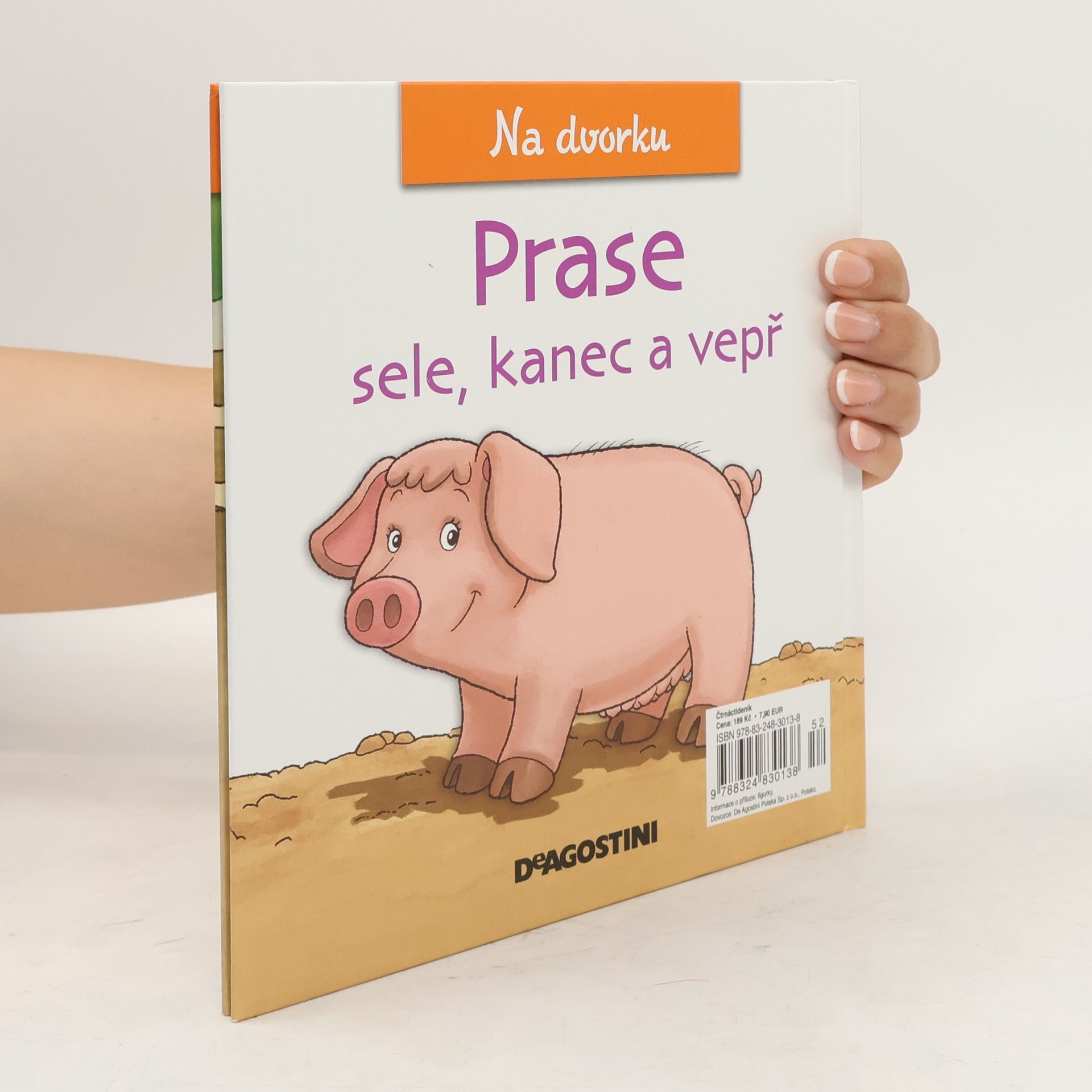 Autorenkollektiv Na dvorku 23. Prase