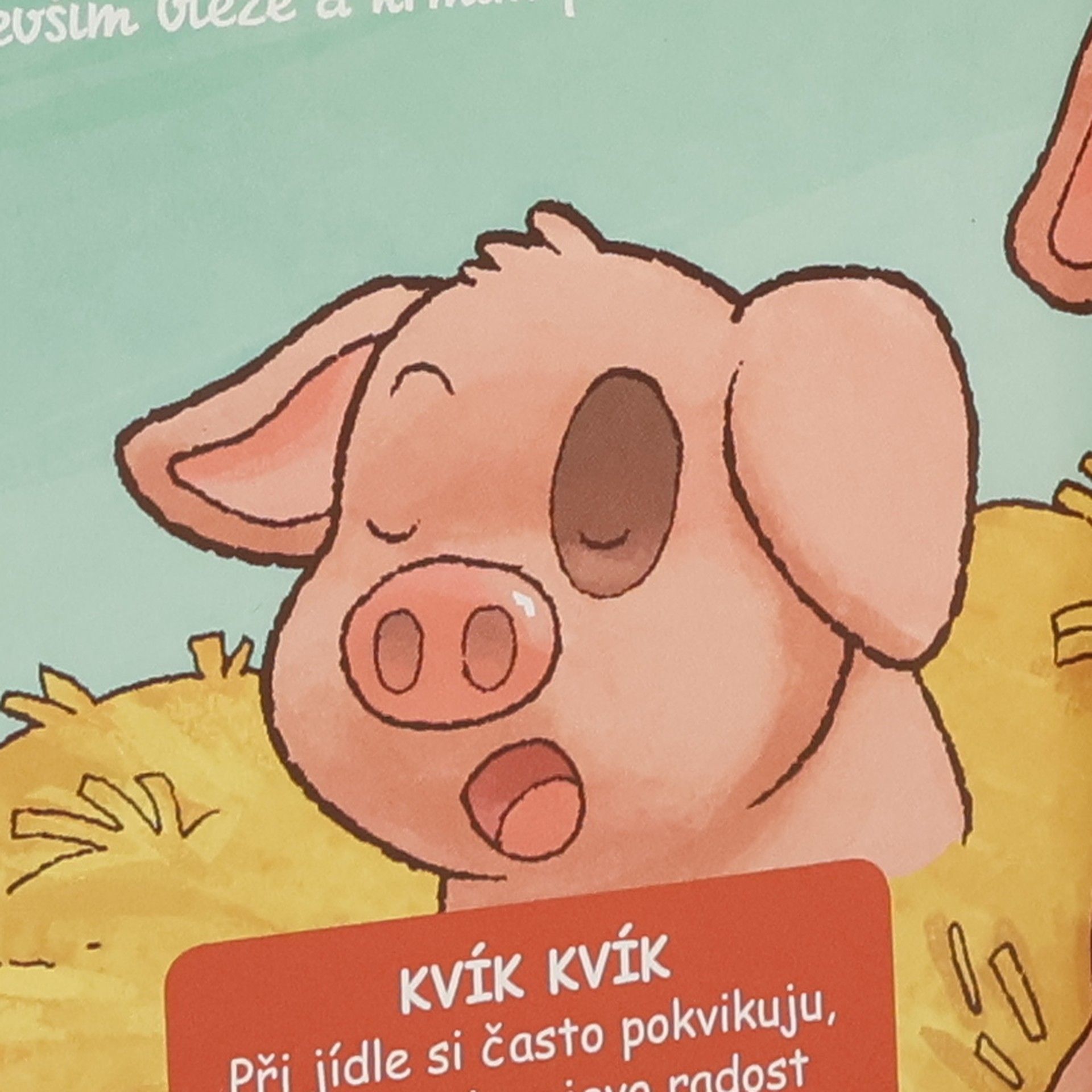 Autorenkollektiv Na dvorku 23. Prase