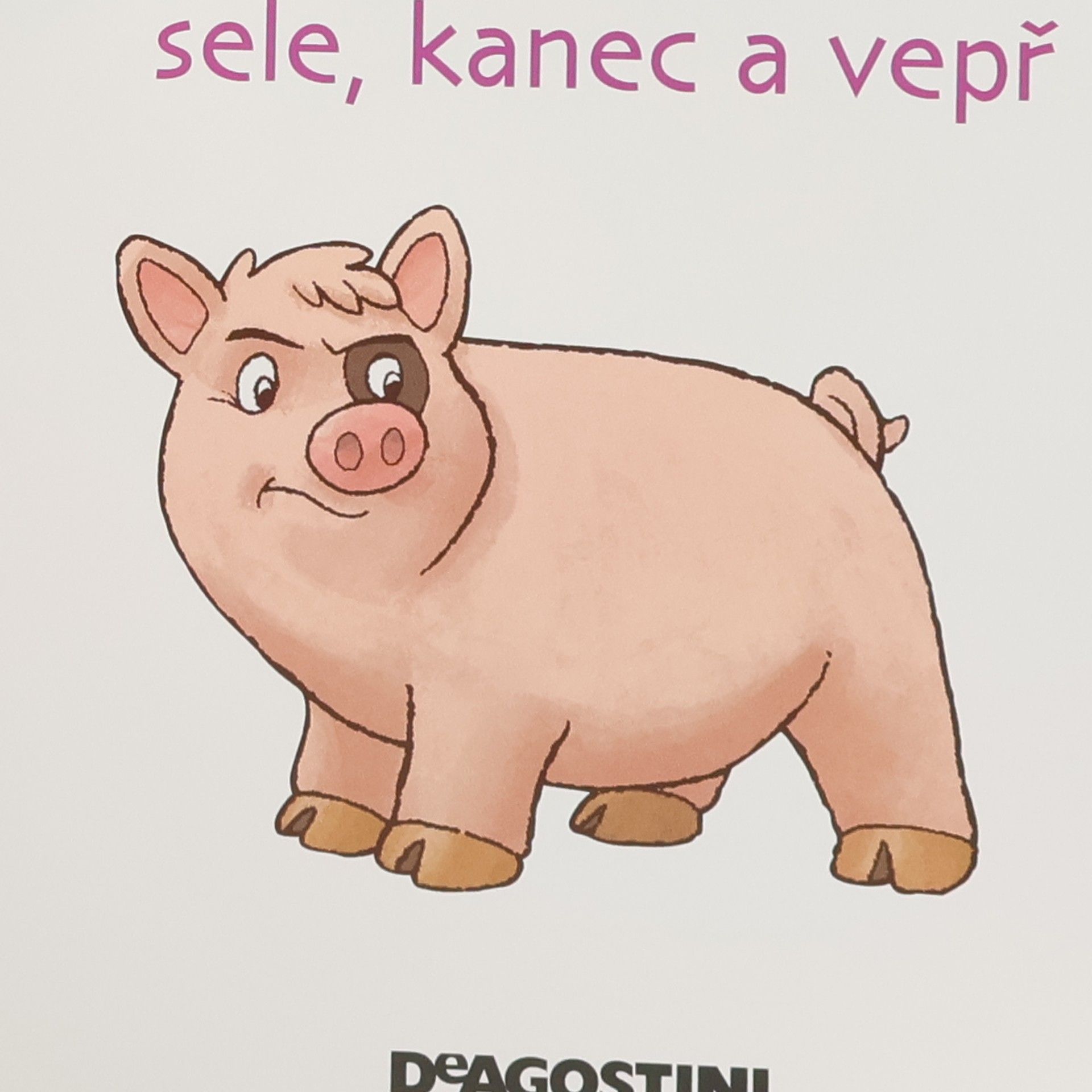 Autorenkollektiv Na dvorku 23. Prase