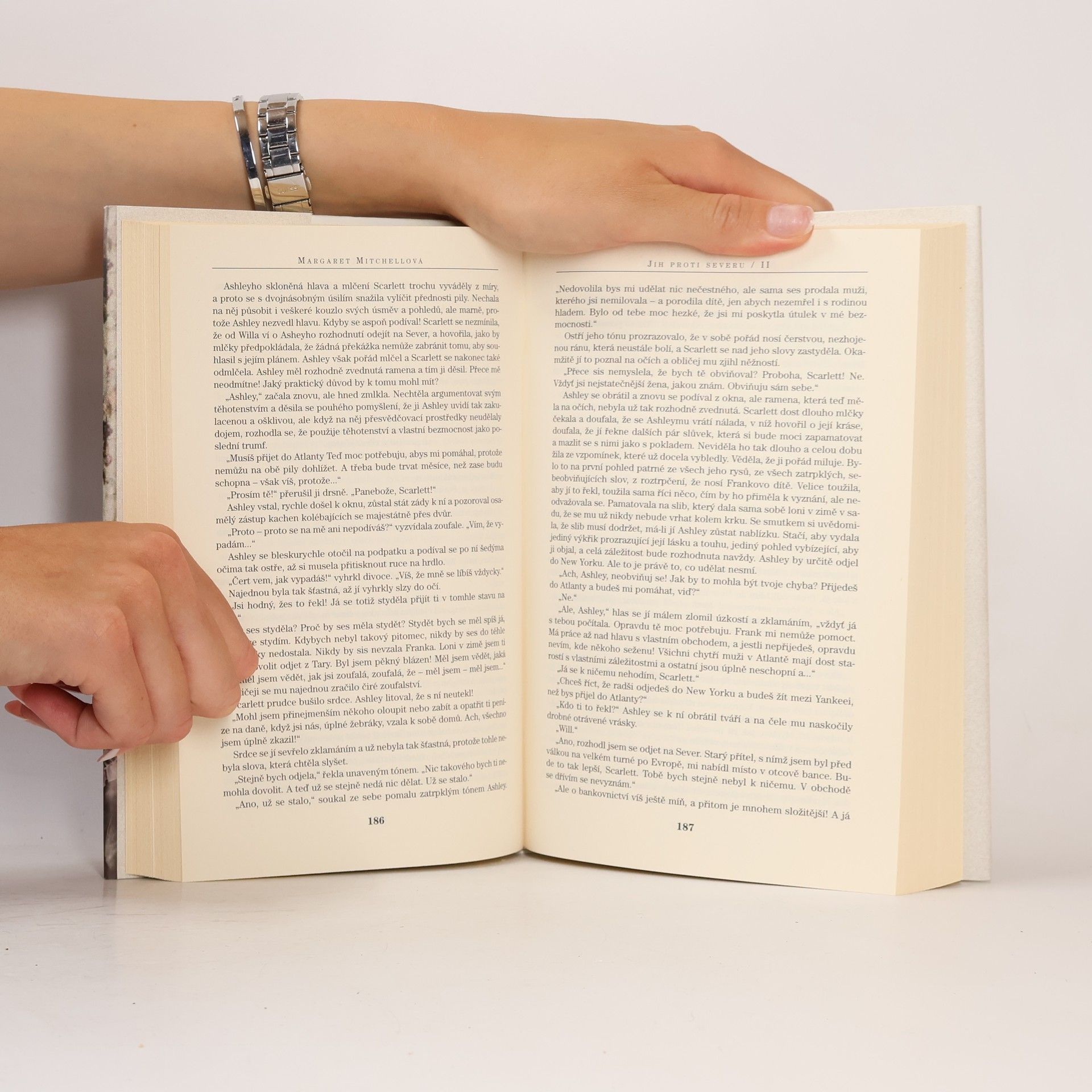 Margaret Mitchell Jih proti Severu. 2
