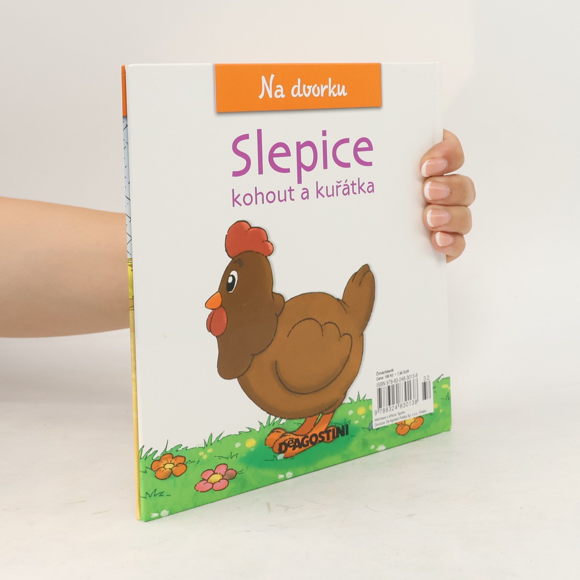 Kolektiv autorů Na dvorku 13. Slepice
