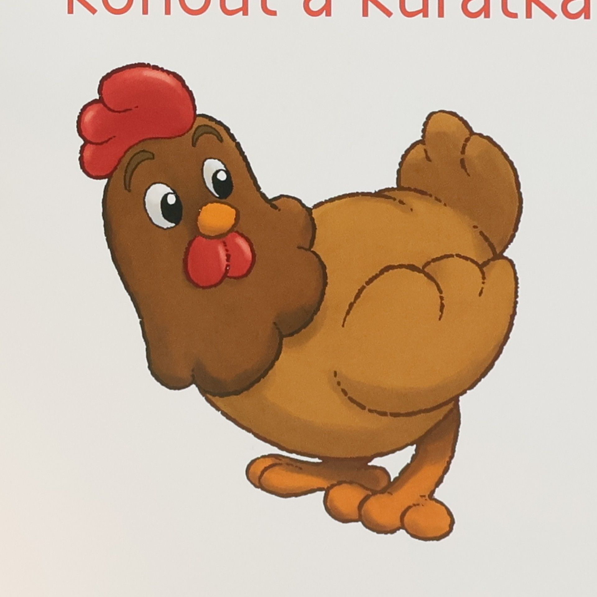 Kolektiv autorů Na dvorku 13. Slepice