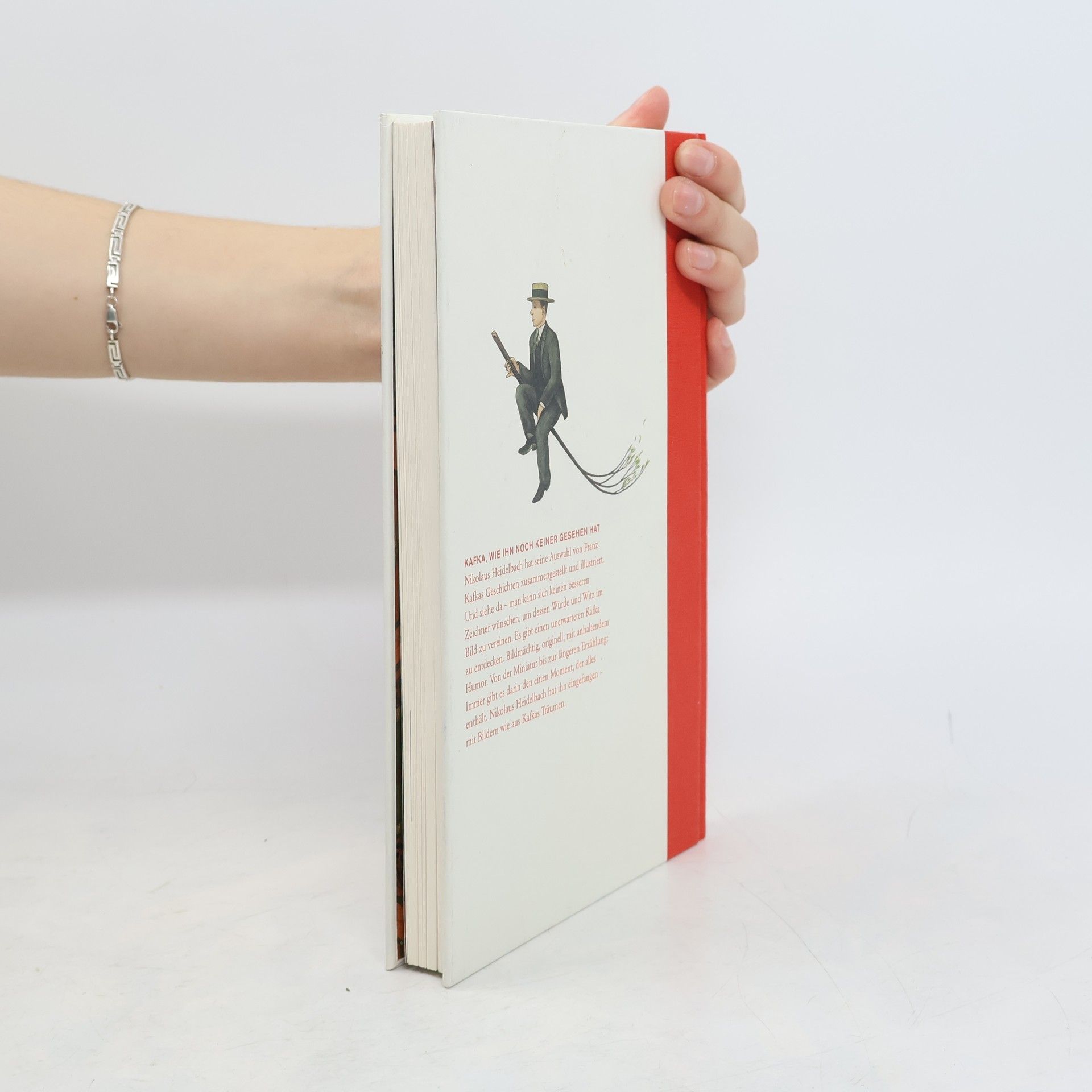 Franz Kafka Gelegenheit zu einer kleinen Verzweiflung
