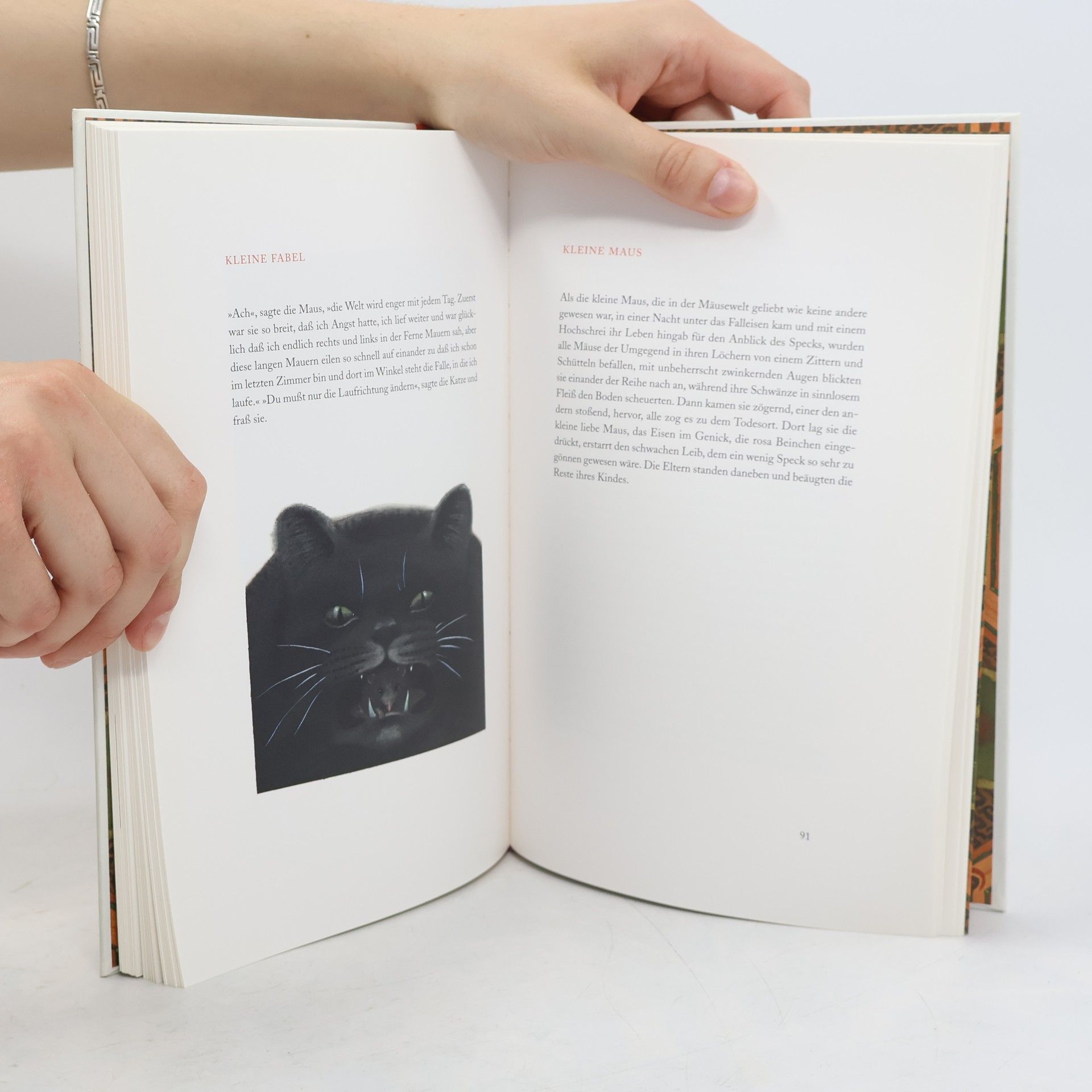 Franz Kafka Gelegenheit zu einer kleinen Verzweiflung