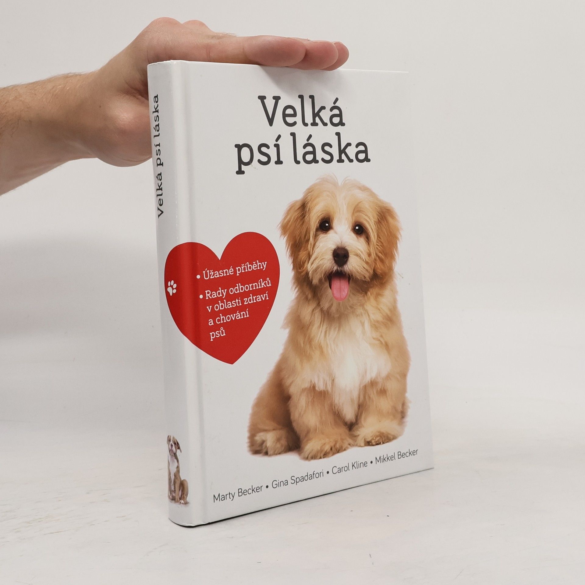 Marty Becker Velká psí láska: Příběhy, rady a úžasné fotografie psích bytostí
