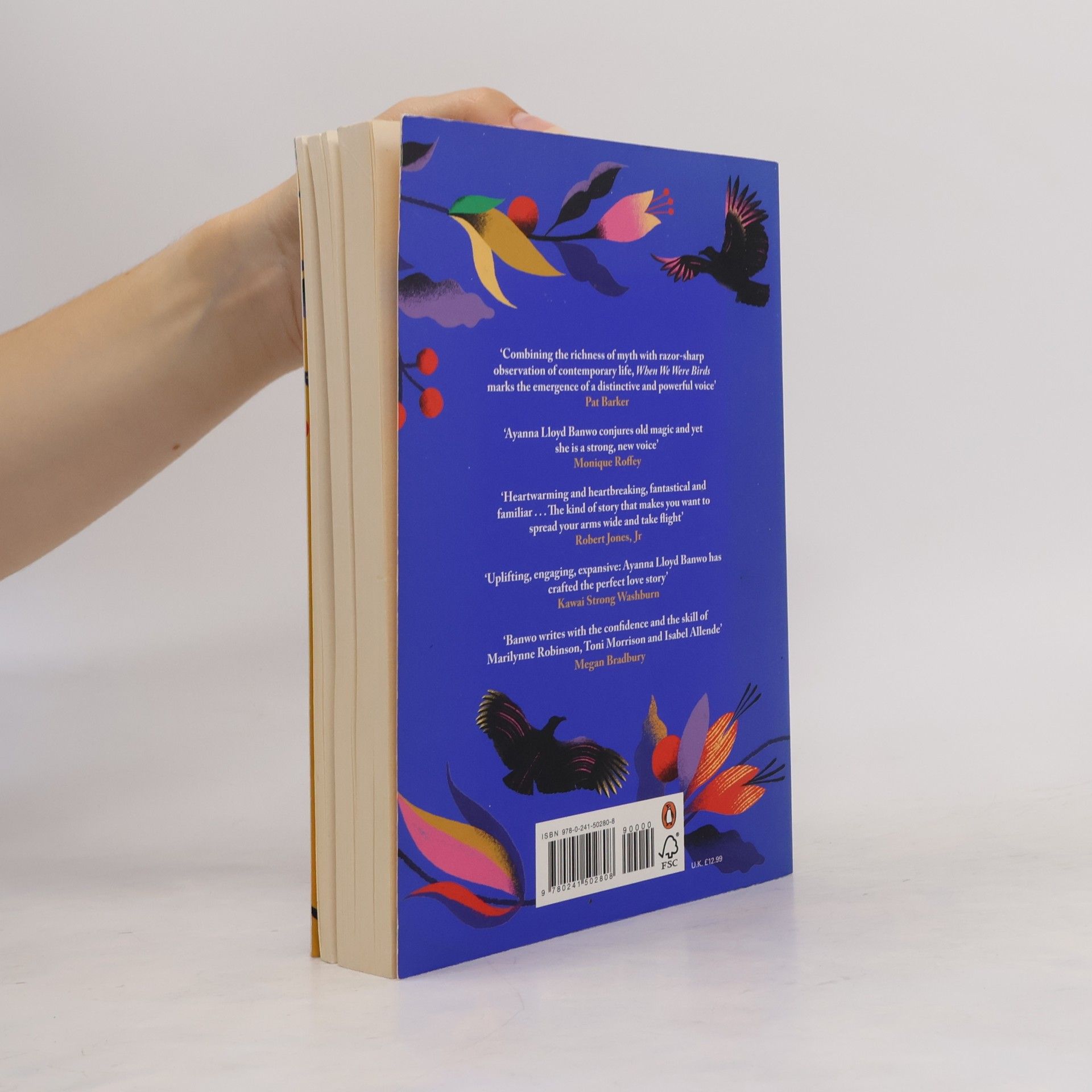 Ayanna Lloyd Banwo When we were birds