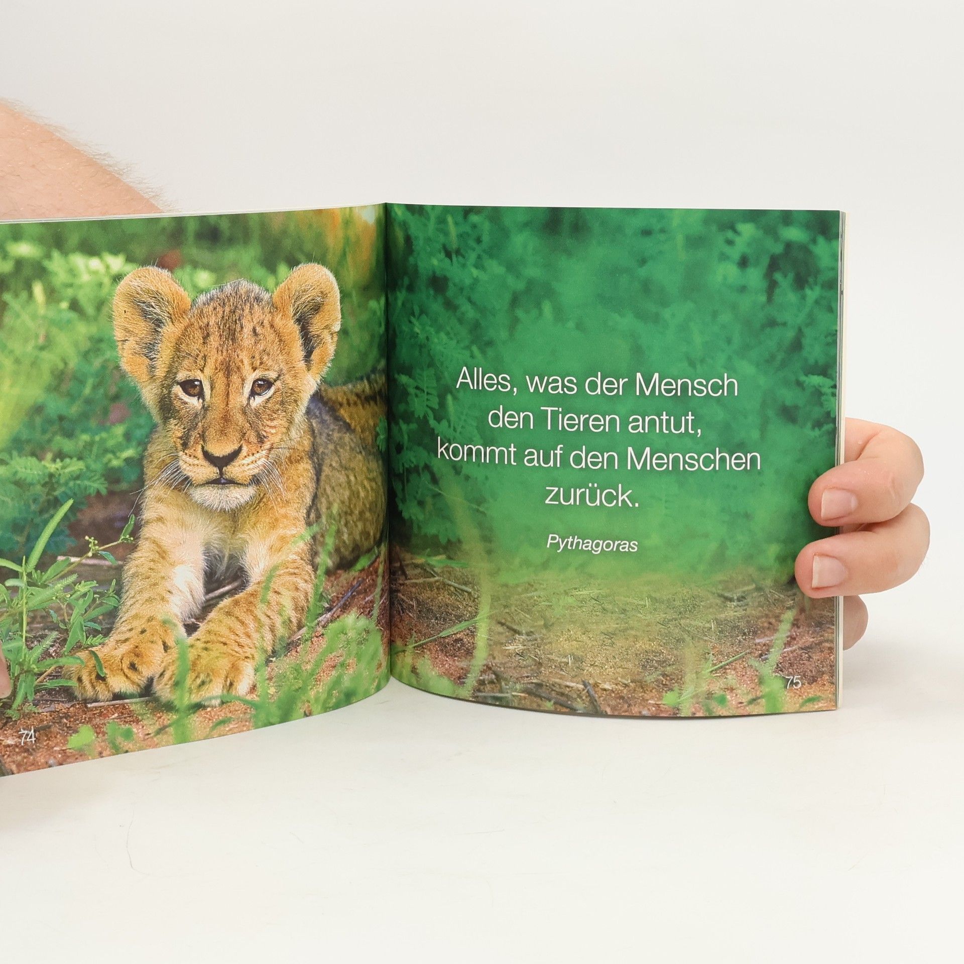 Autorenkollektiv Zitate berühmter Tierfreunde