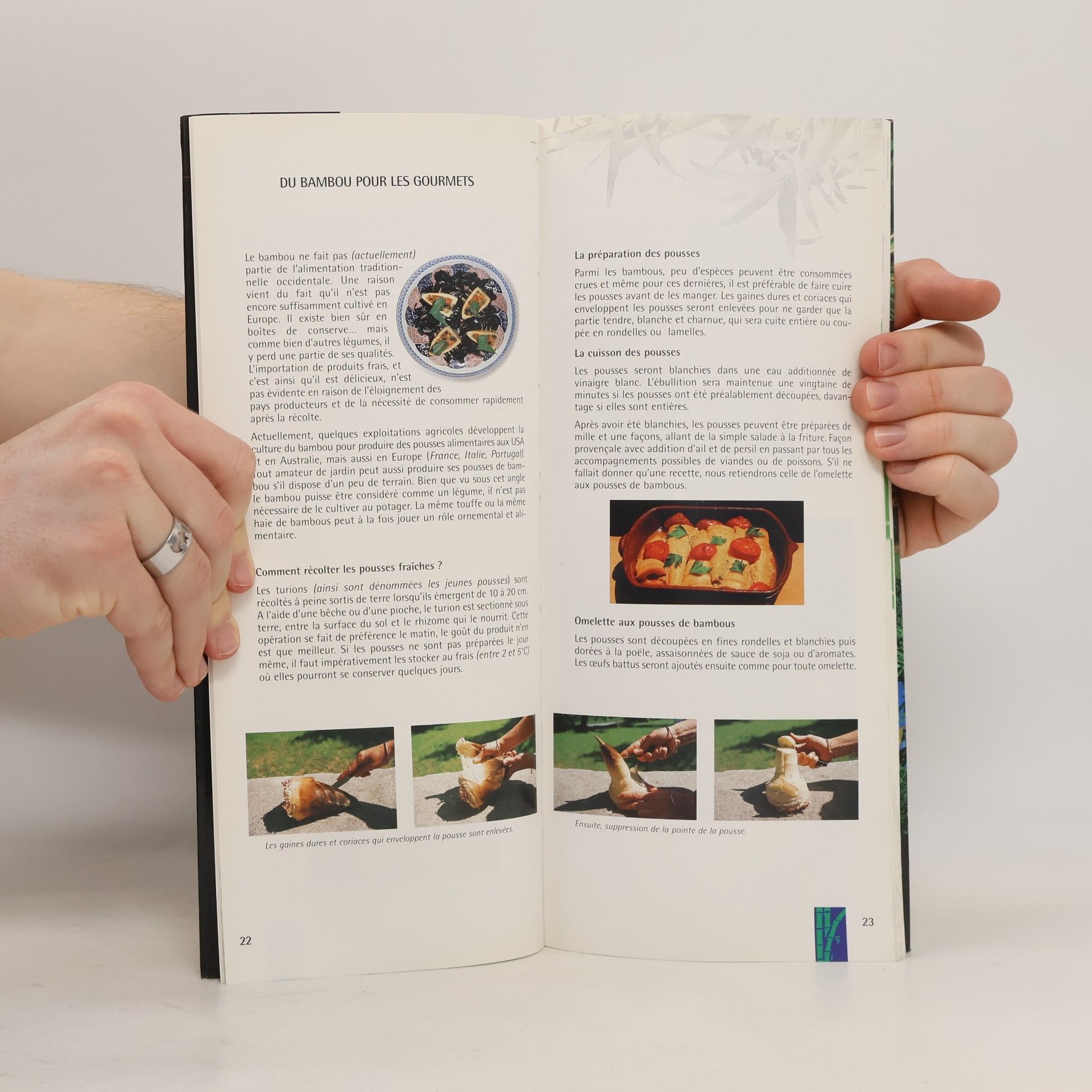 Collectif d'auteurs Pépinières de la Bambouseraie. Catalogue général