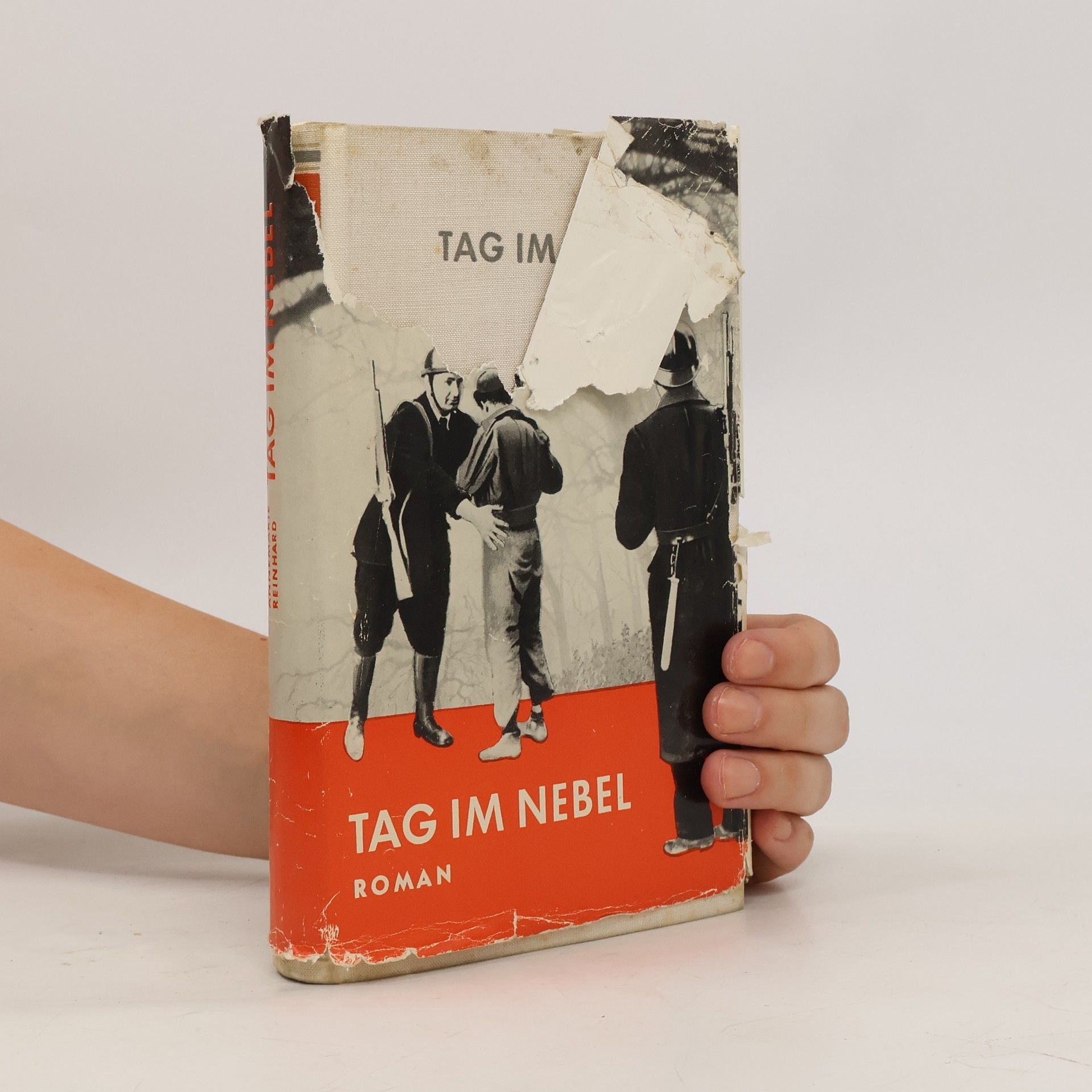 Annemarie Reinhard Tag im Nebel
