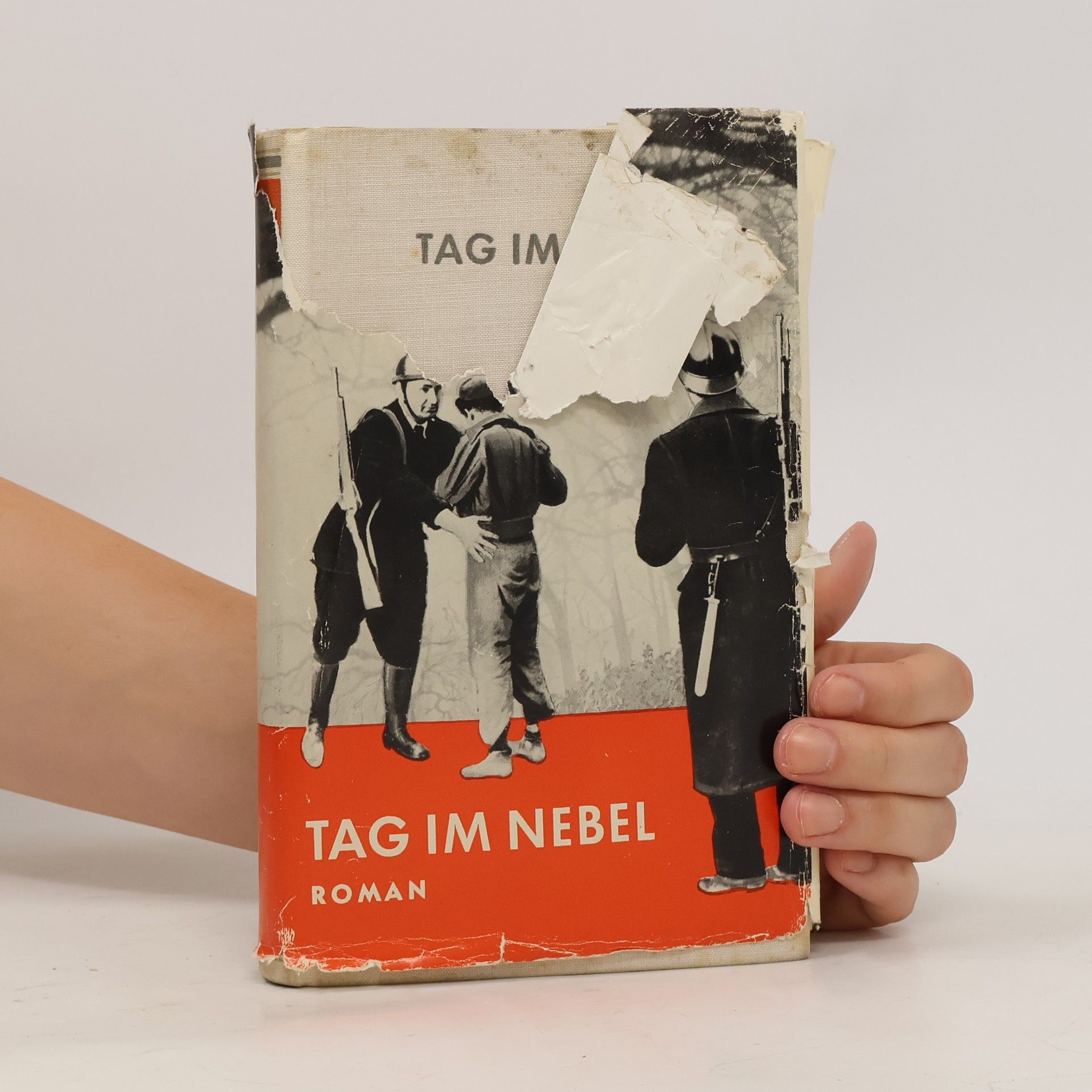 Annemarie Reinhard Tag im Nebel