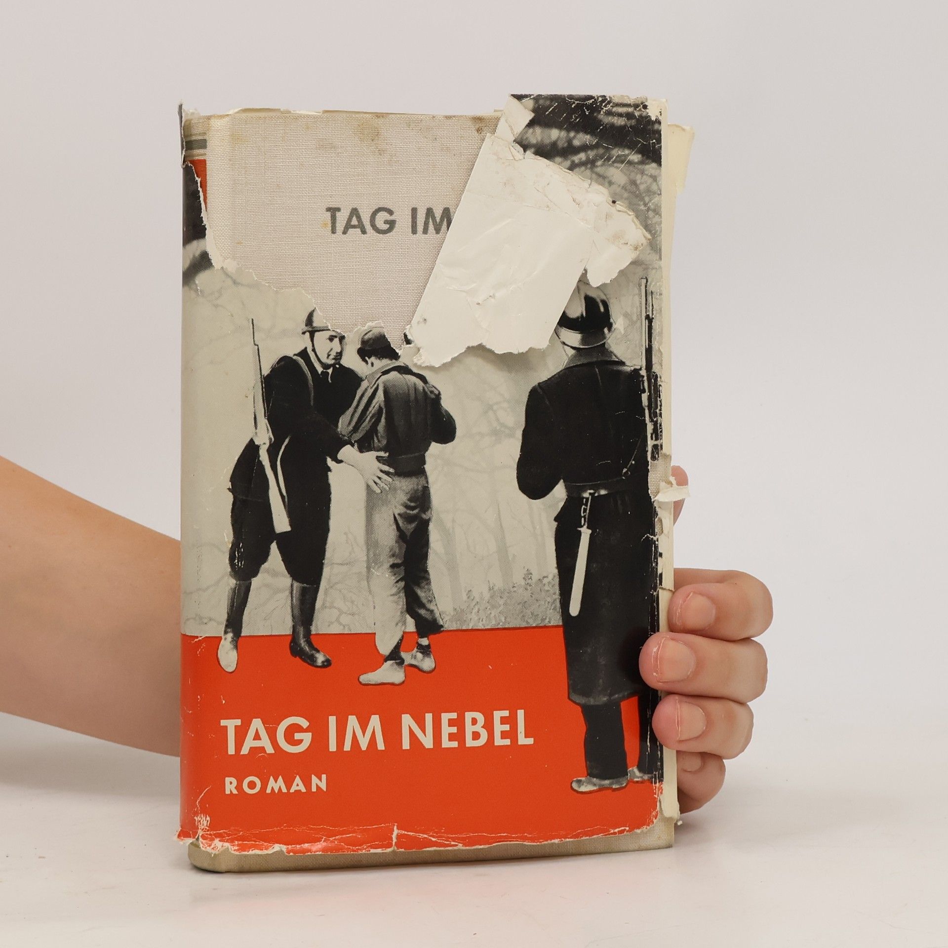 Annemarie Reinhard Tag im Nebel