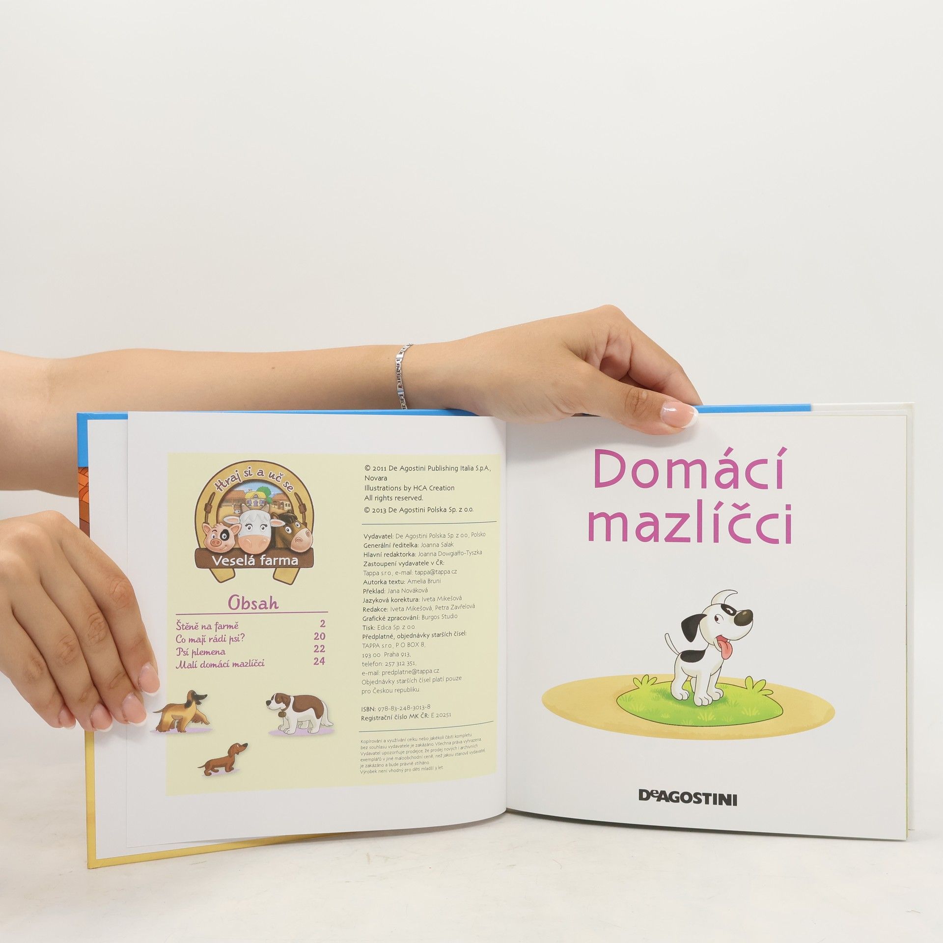Kolektiv autorů V hospodářství 39. Domácí mazlíčci