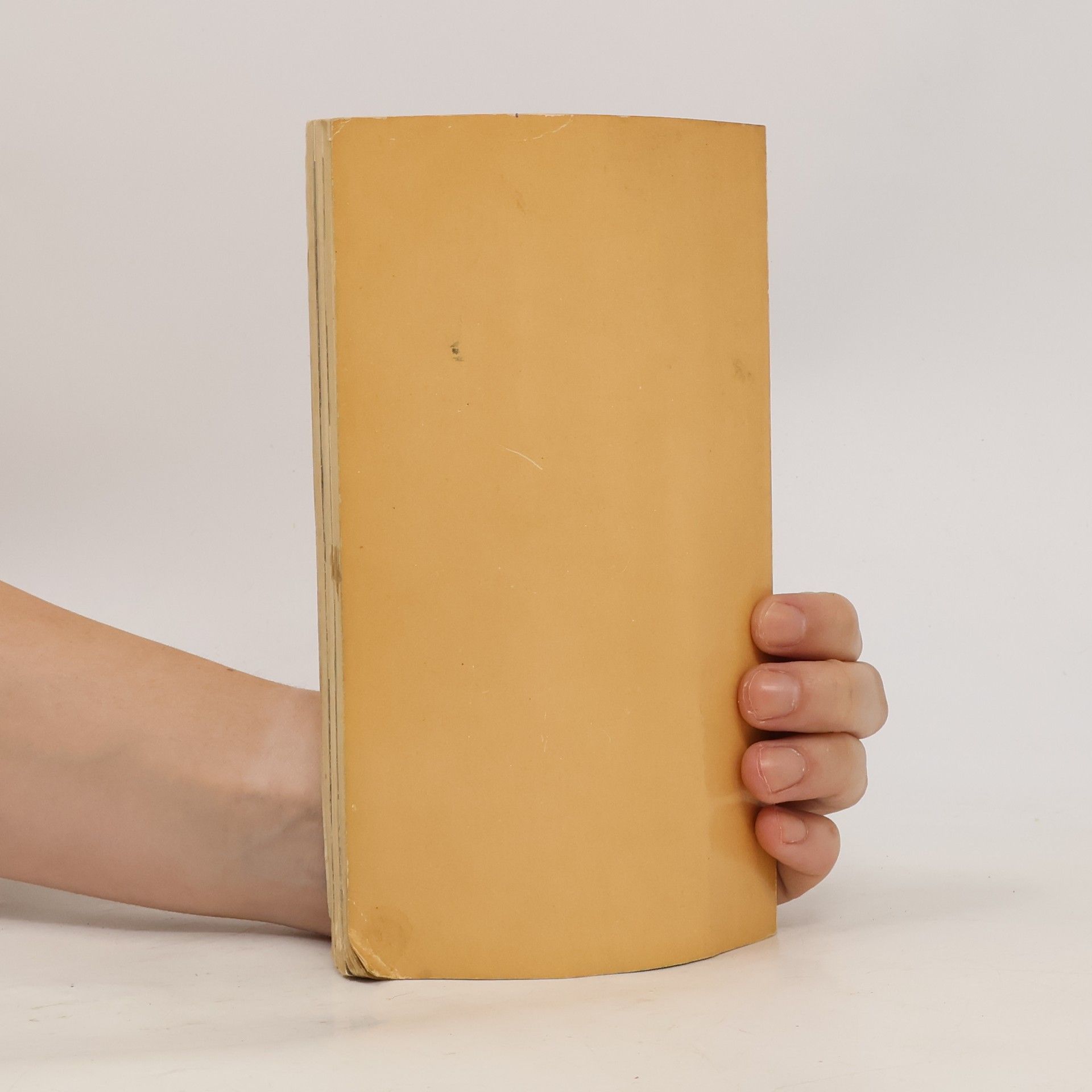 Autorenkollektiv Das schöne Geschlecht und die Gleichberechtigung in der DDR