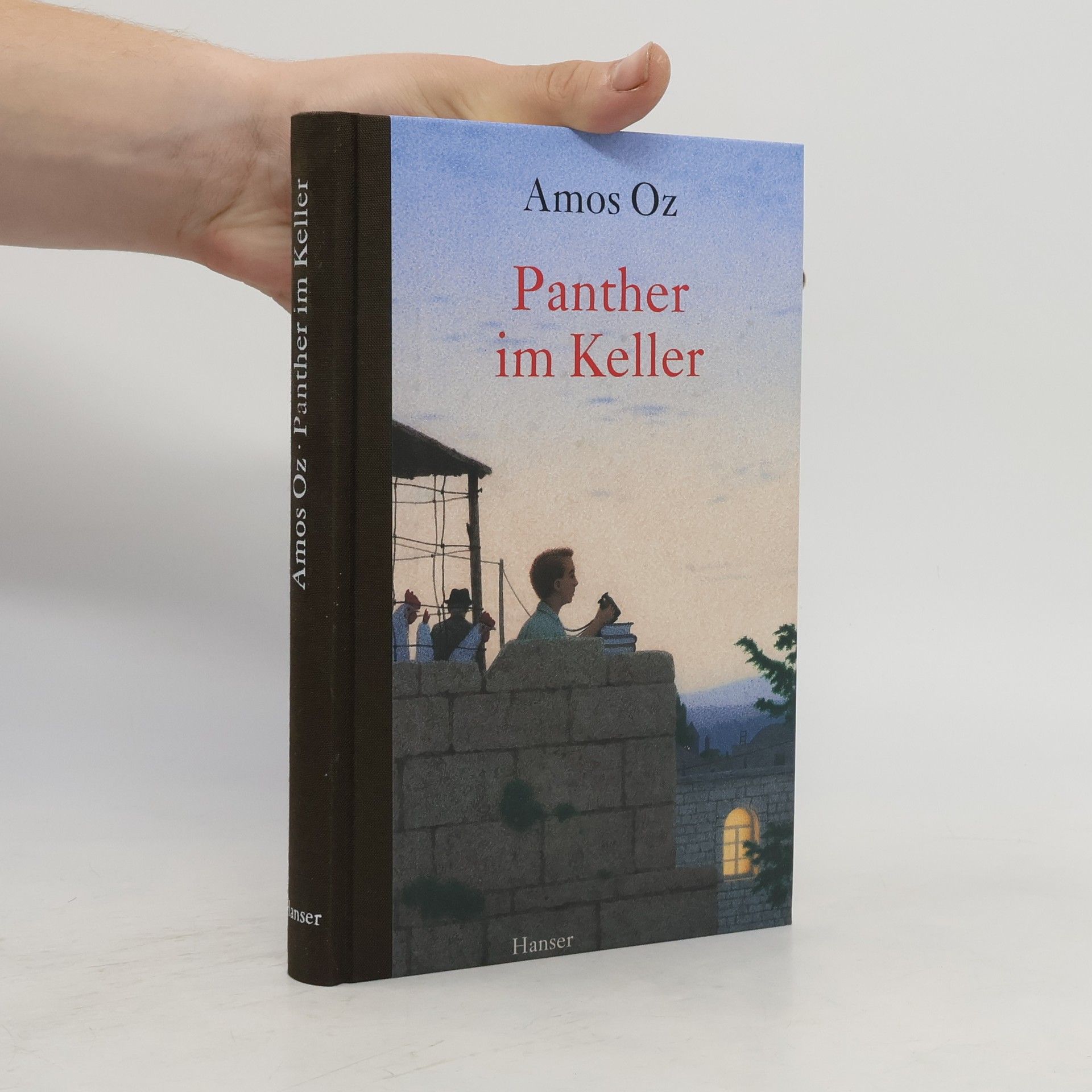 Amos Oz Panther im Keller