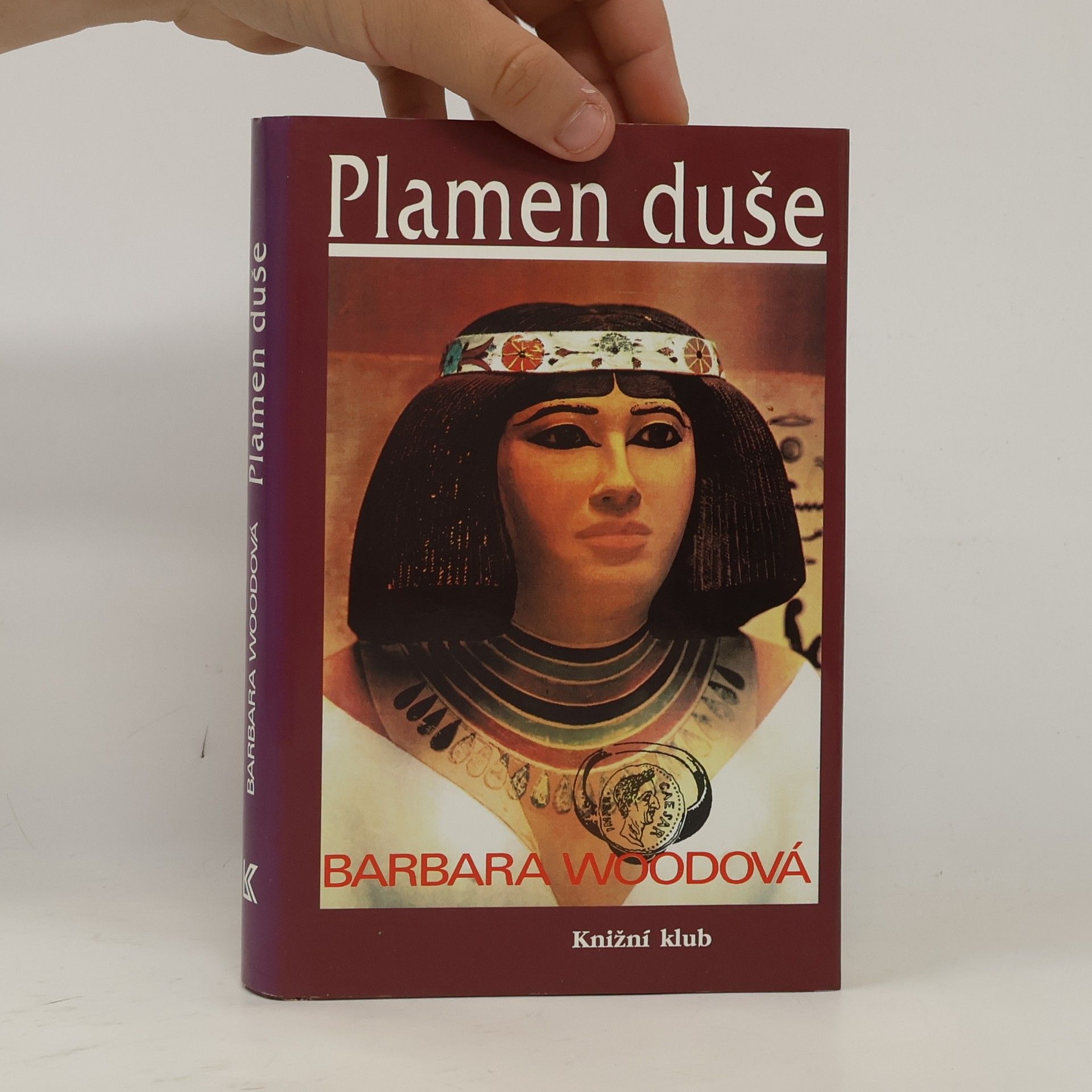 Barbara Wood Plamen duše