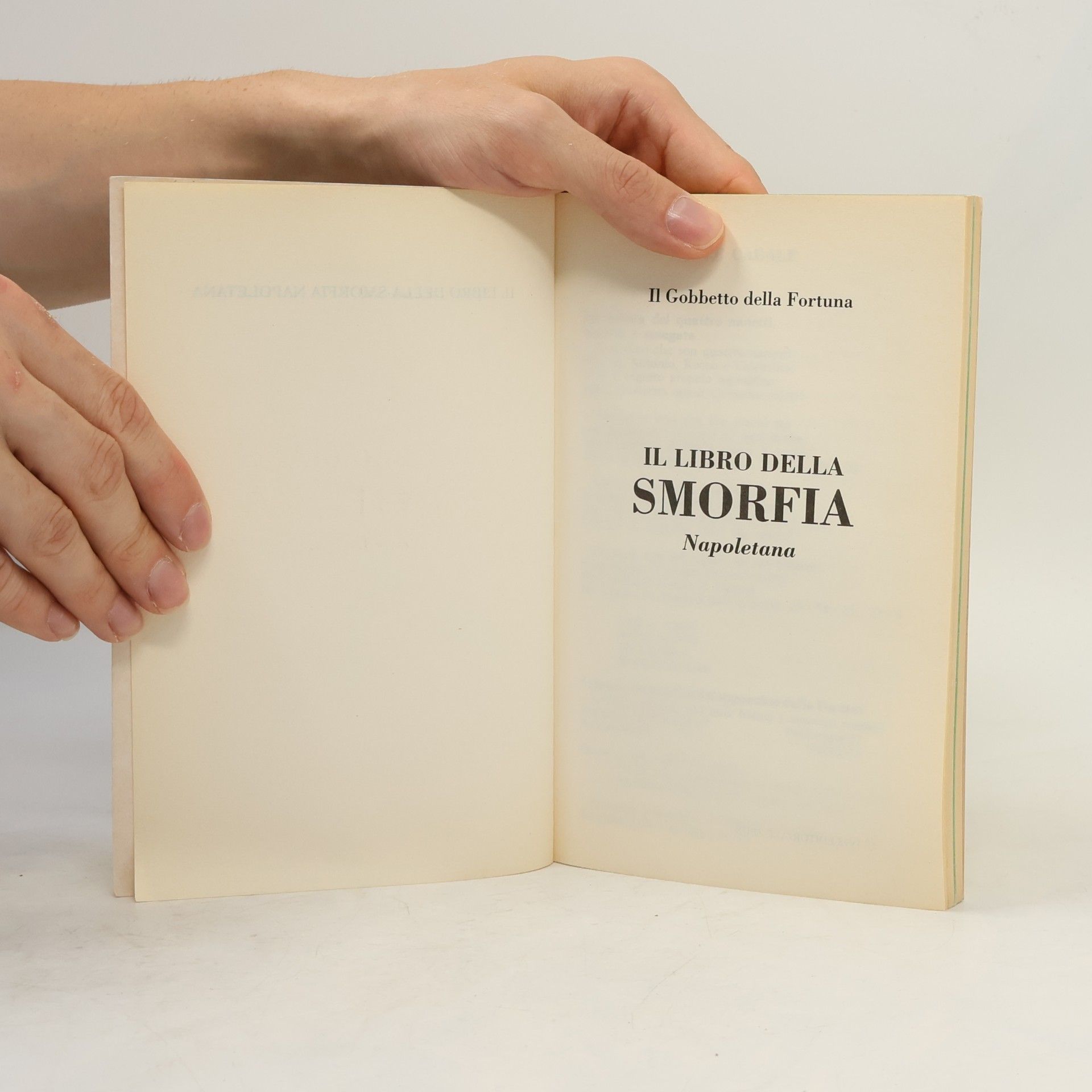Auteurscollectief Il libro della Smorfia Napoletana