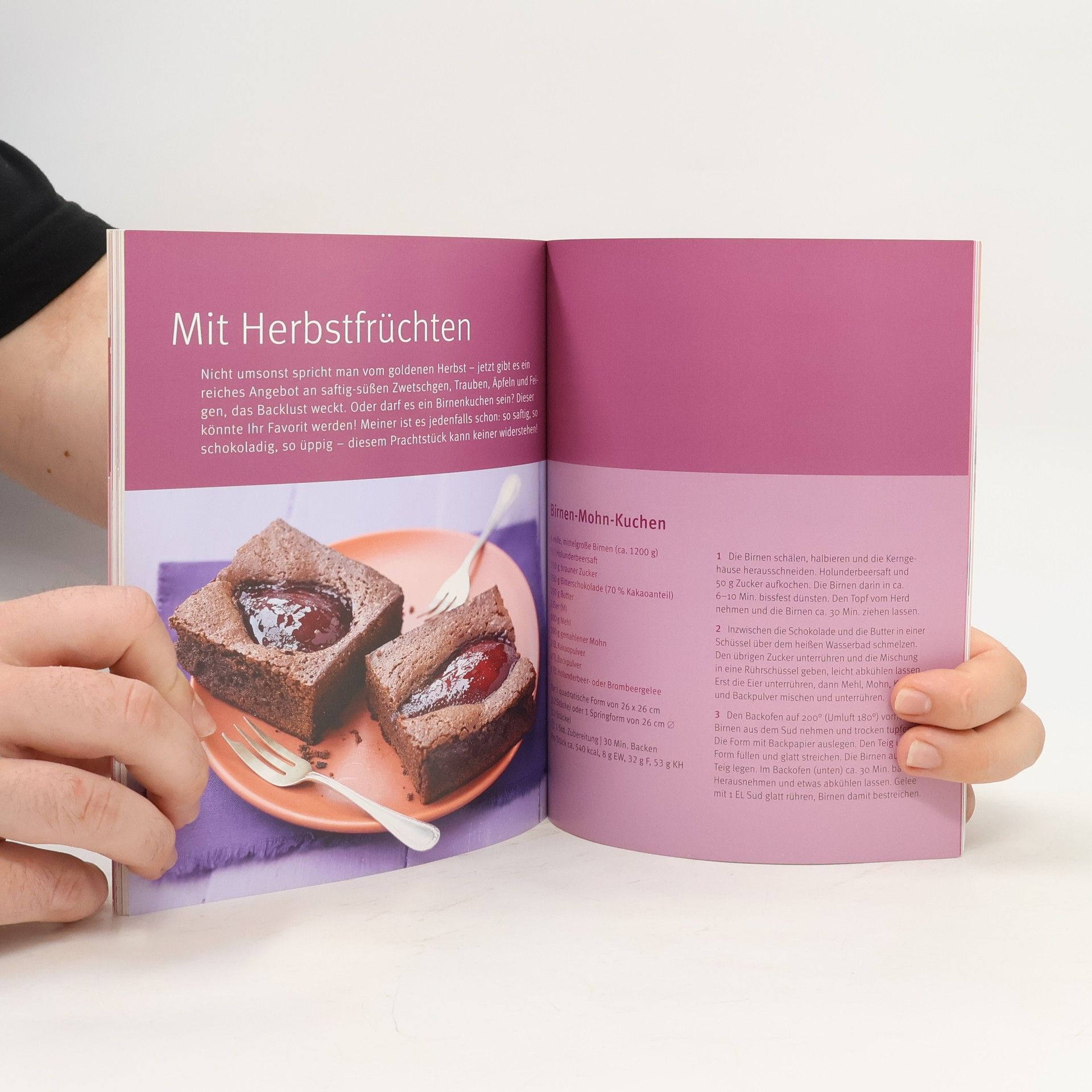 Autorenkollektiv Obstkuchen