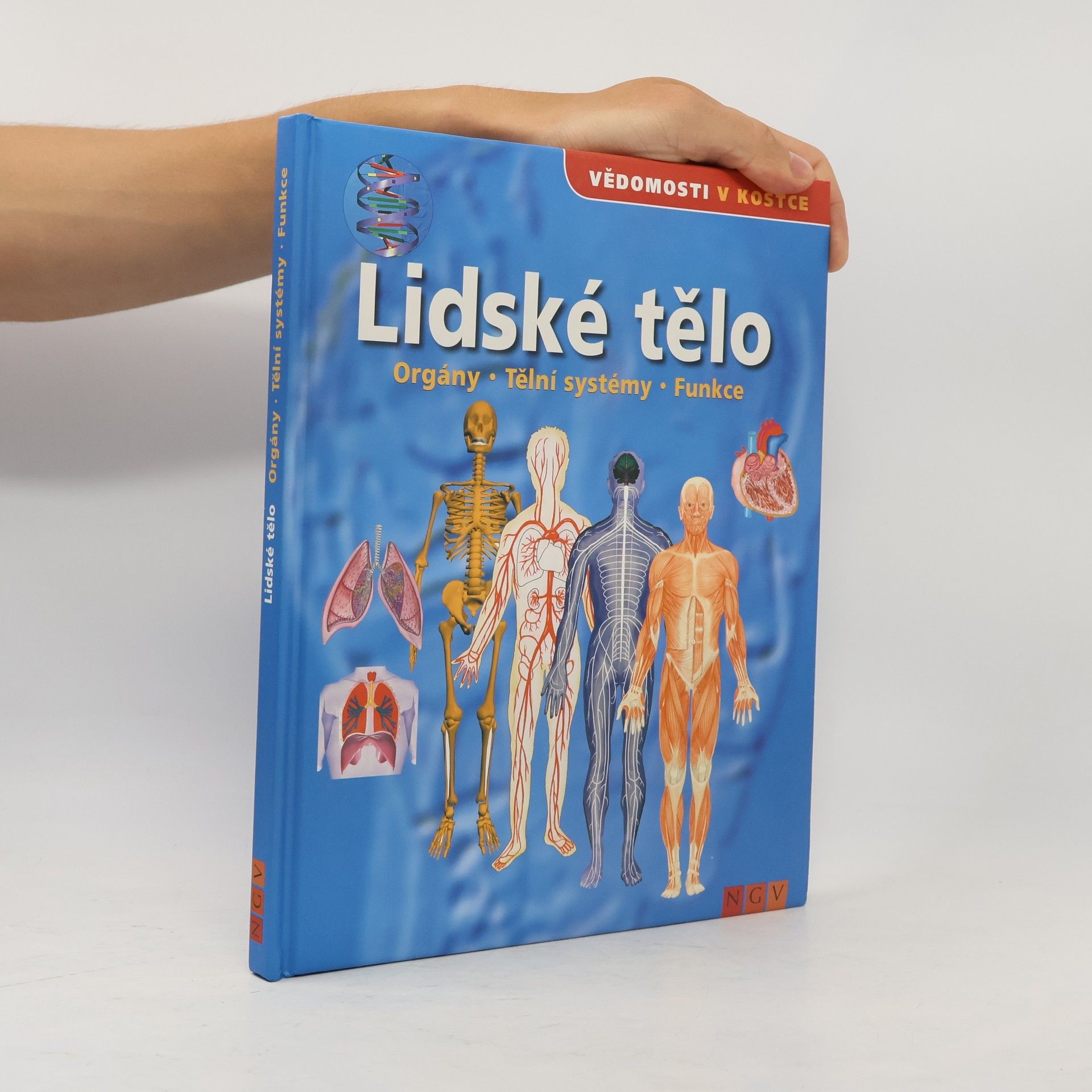 Kolektív autorov Lidské tělo. Orgány. Tělní systémy. Funkce