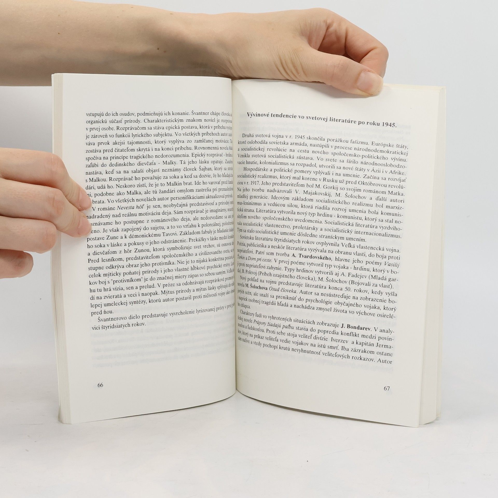 Mária Ivanová Slovenský jazyk a literatúra