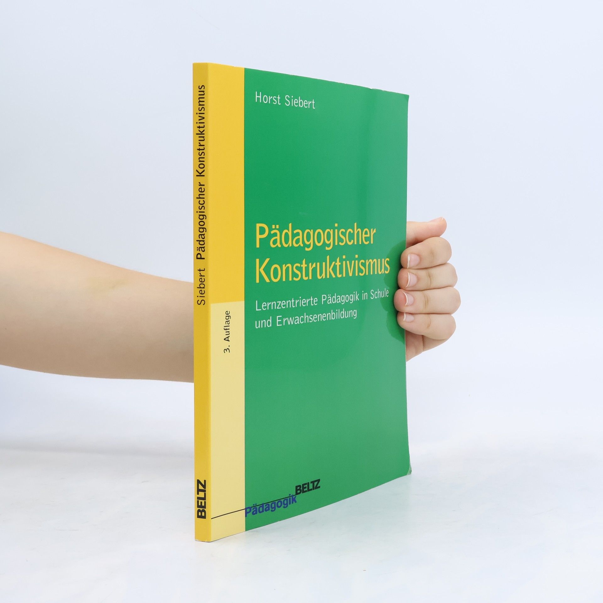 Pädagogischer Konstruktivismus