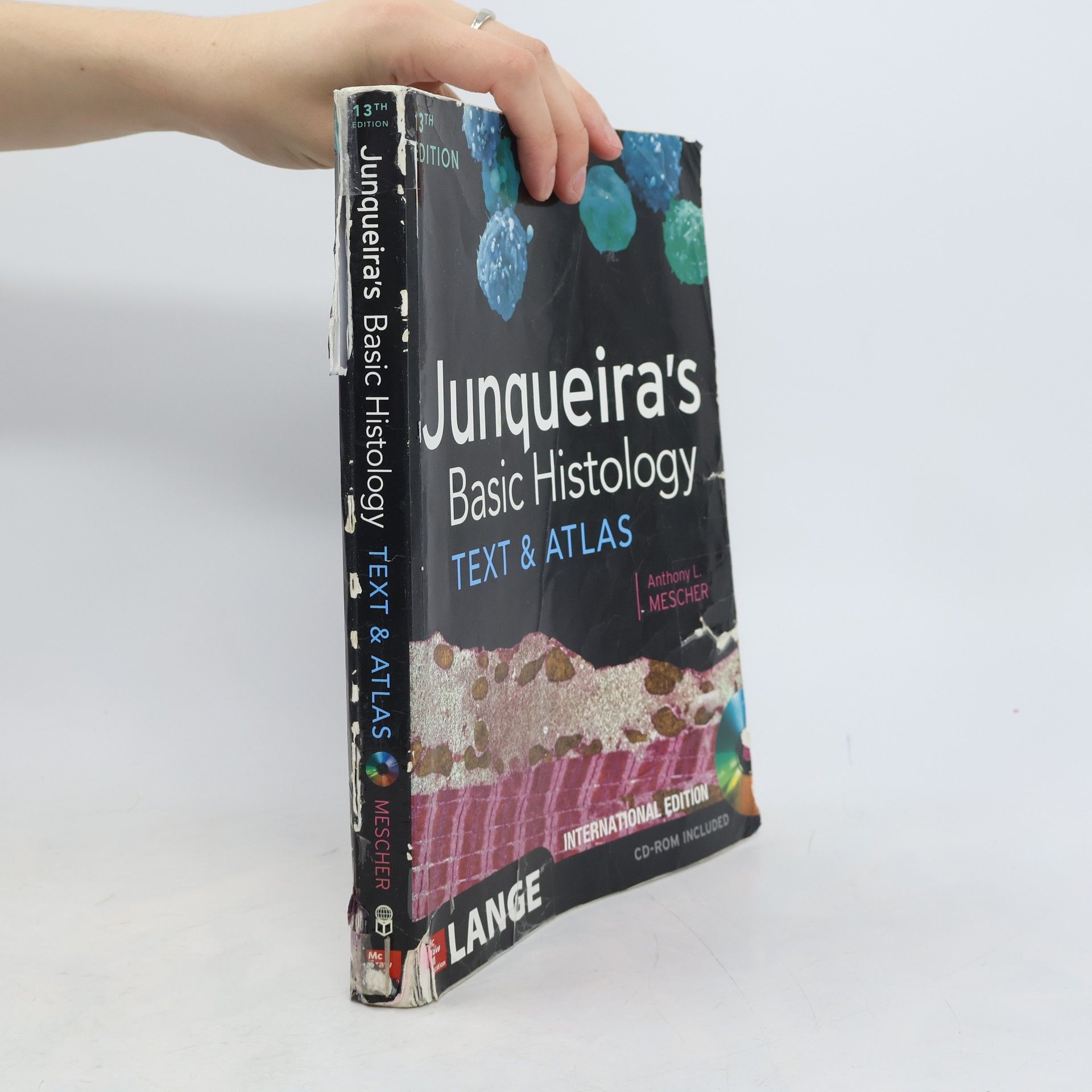 Junqueira's Basic Histology. Text & Atlas