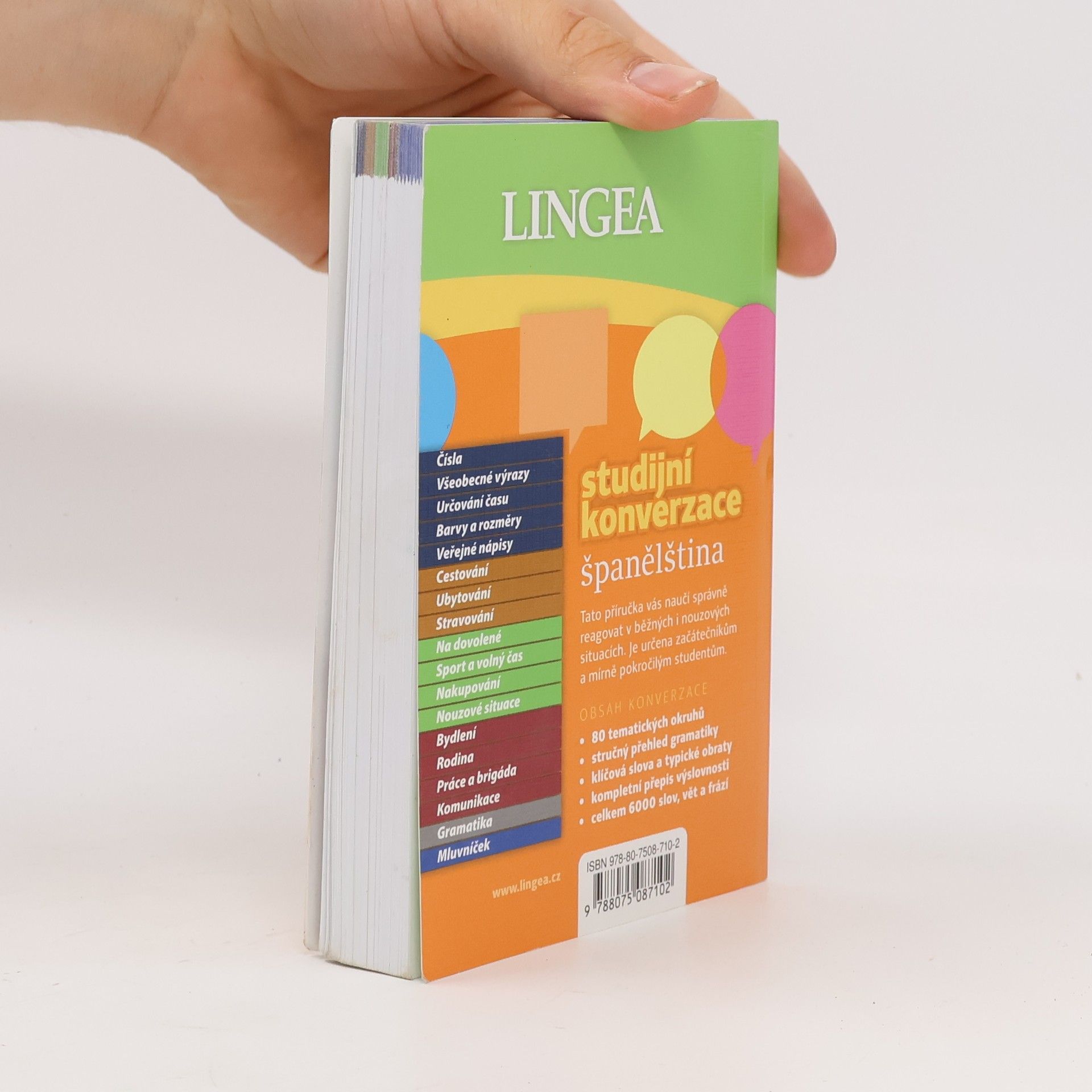 Lingea Studijní konverzace: španělština