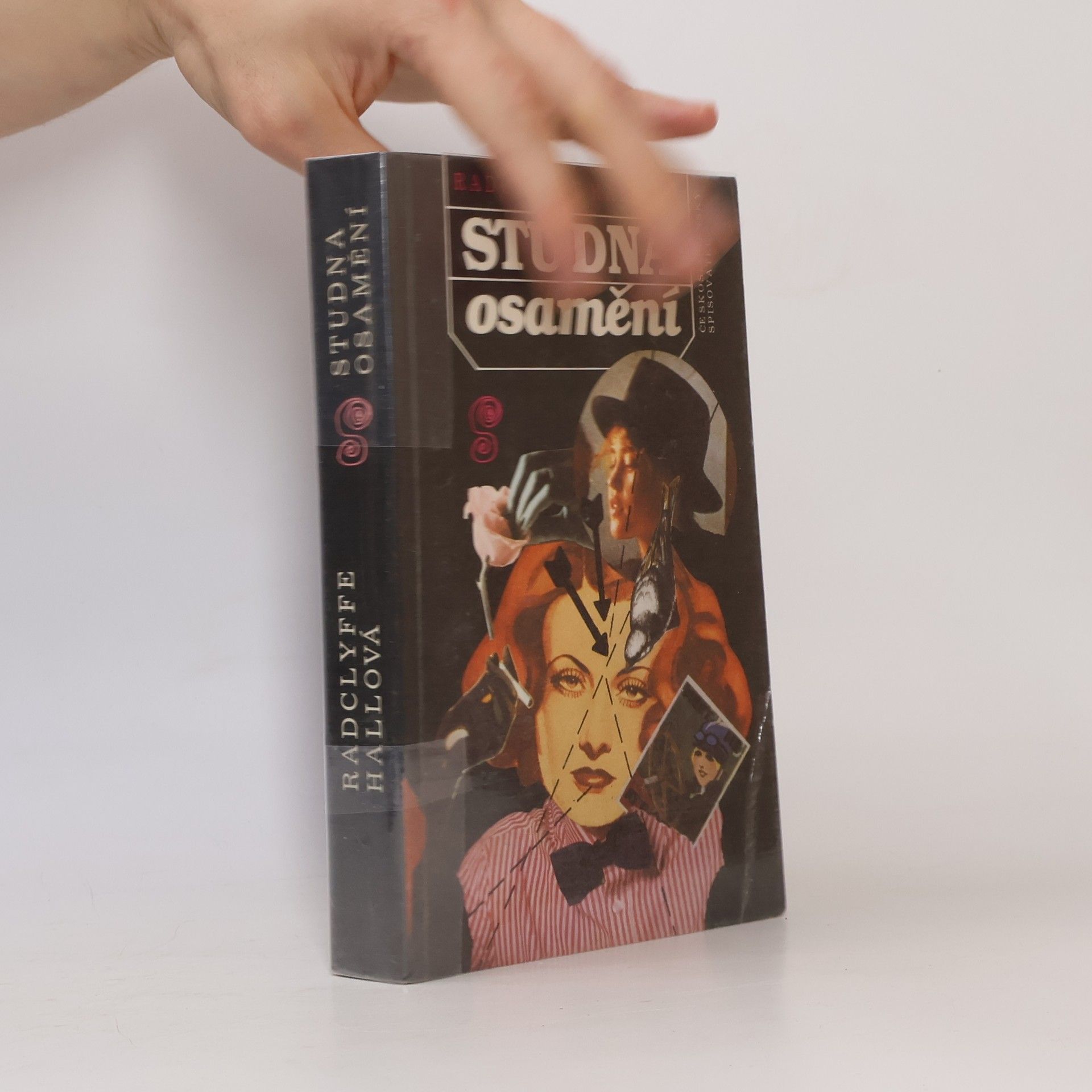 Radclyffe Hall Studna osamění