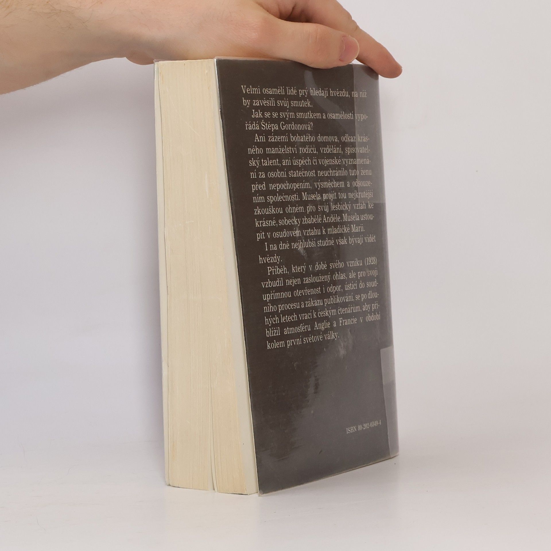 Radclyffe Hall Studna osamění