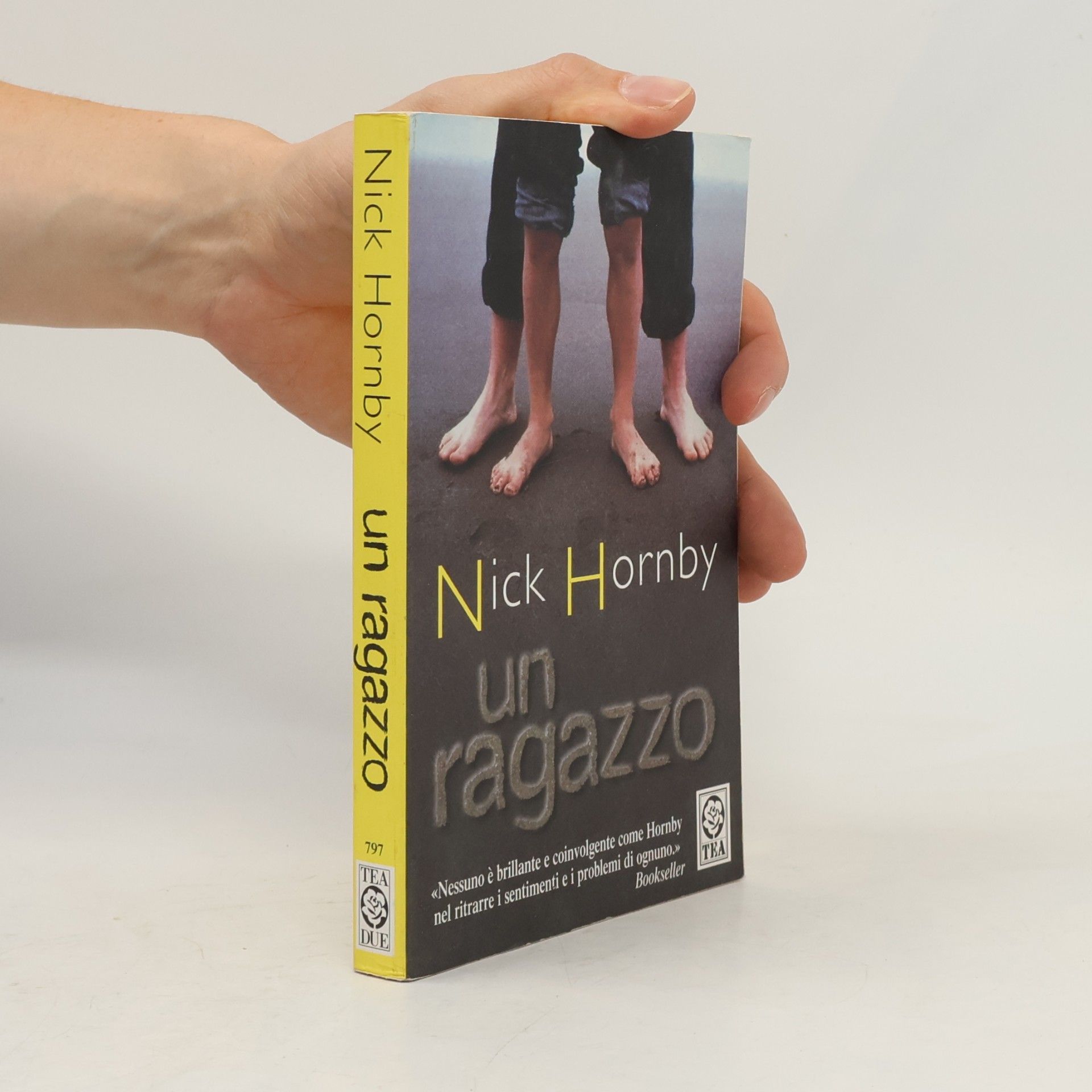 Nick Hornby Un ragazzo