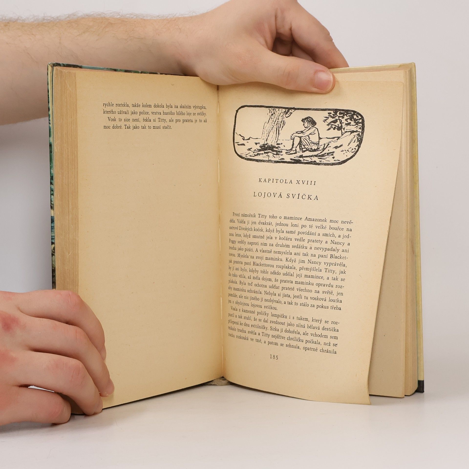 Arthur Ransome Trosečníci z Vlaštovky